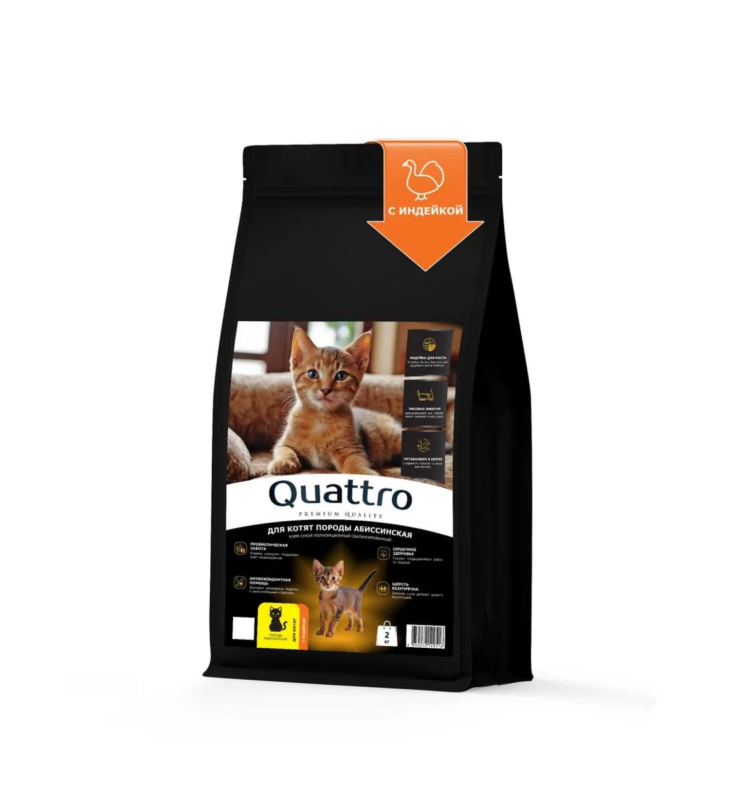 QUATTRO Dry food for kittens of the Abyssinian breed with turkey 2kg - Buy Online on GoSupps.com