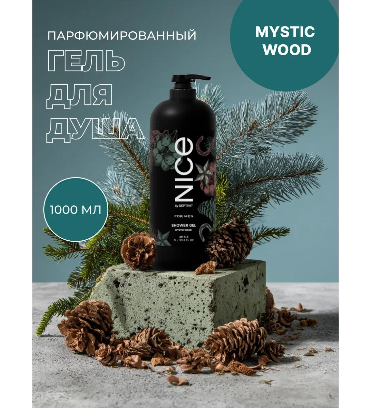 NICE by SEPTIVIT Nice shower male puffy with a dispenser - Buy Online on GoSupps.com