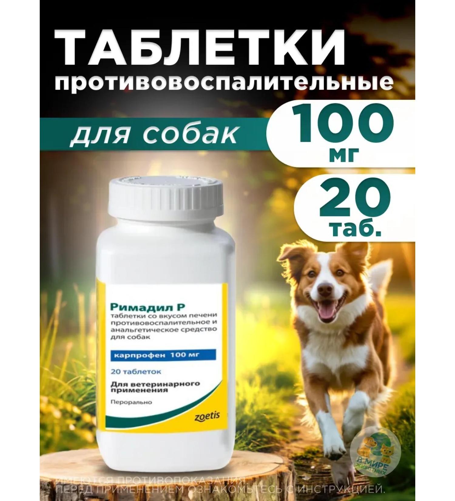 Zoetis Rimadil P 100 mg dog tablets 20 tab - Buy Online on GoSupps.com