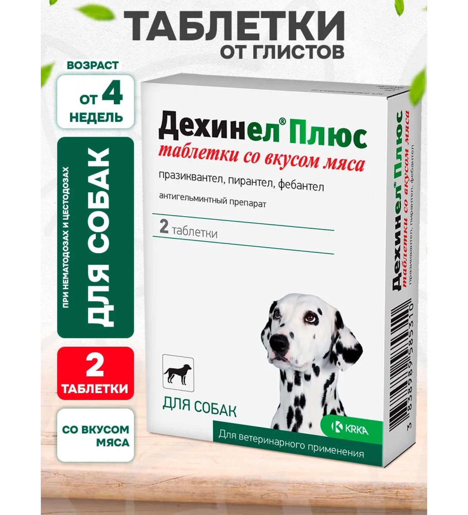 KRKA Dechinel plus tablets from worms for dogs Taste of meat 2 tab - Buy Online on GoSupps.com