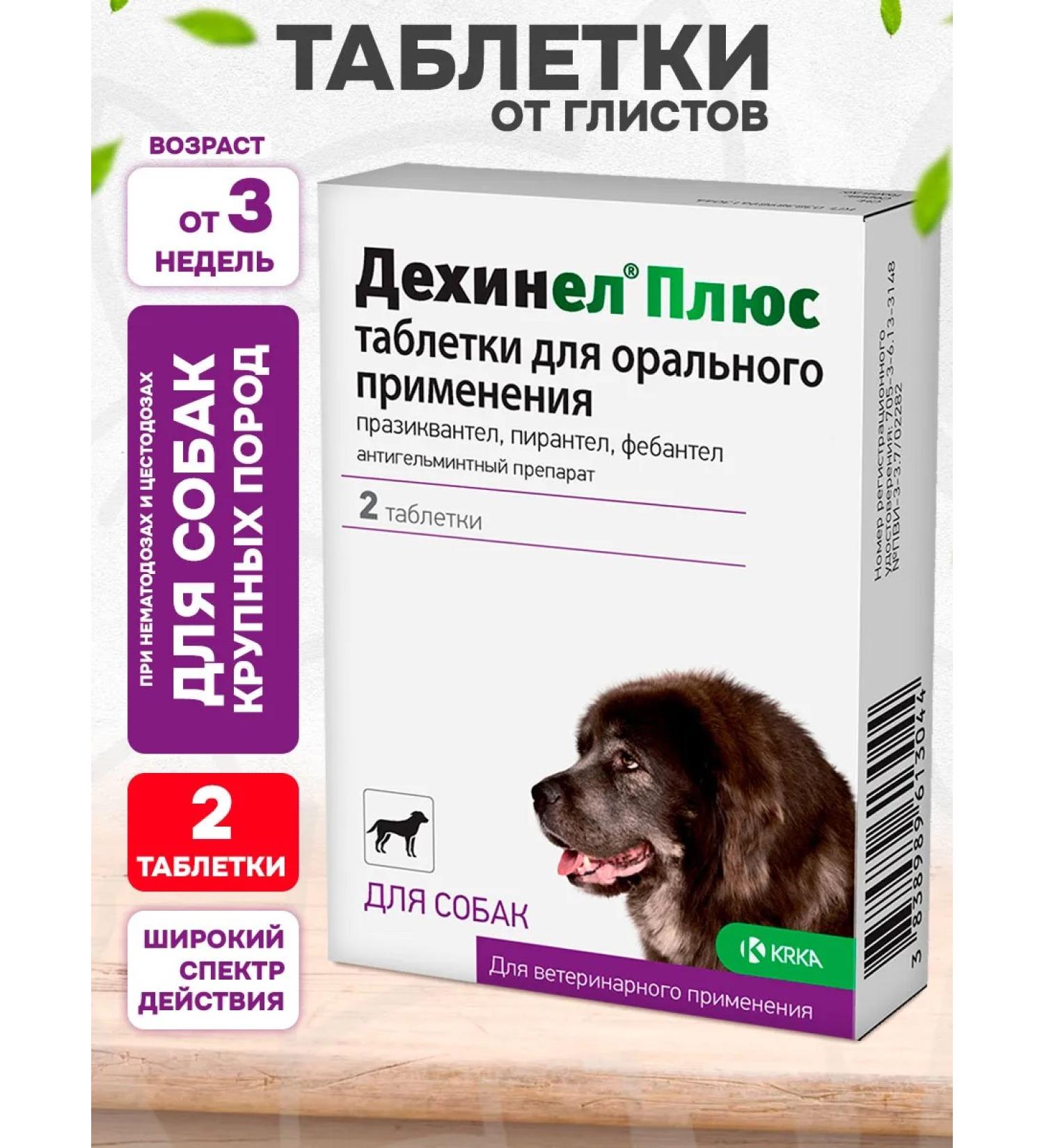 KRKA Dehinel plus tablets from worms for large dogs 2 tab - Buy Online on GoSupps.com