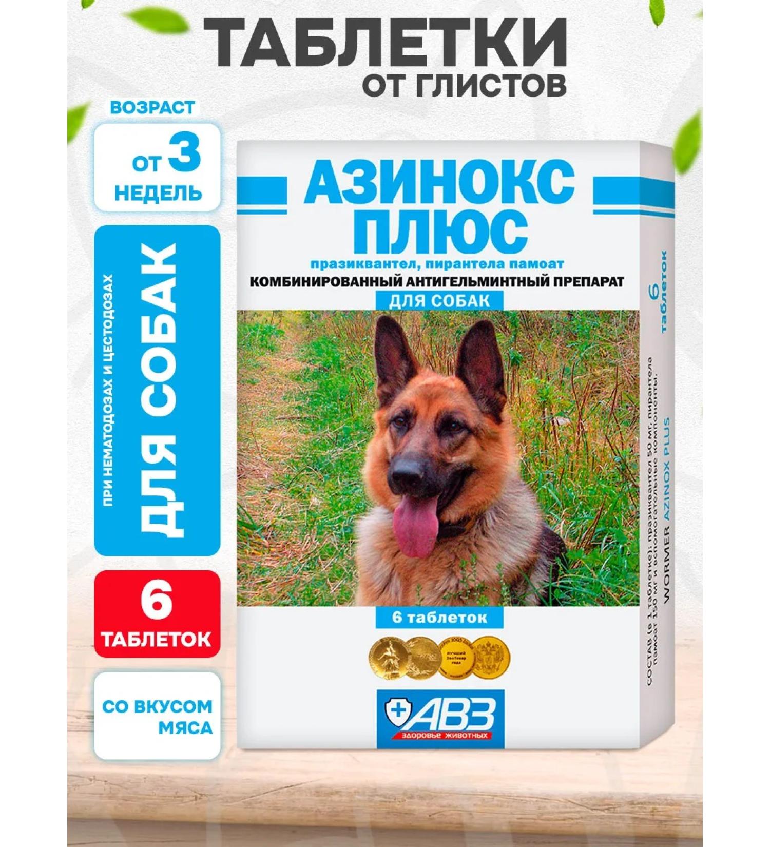 AVZ Azins plus tablets from worms for dogs 6 tab - Buy Online on GoSupps.com