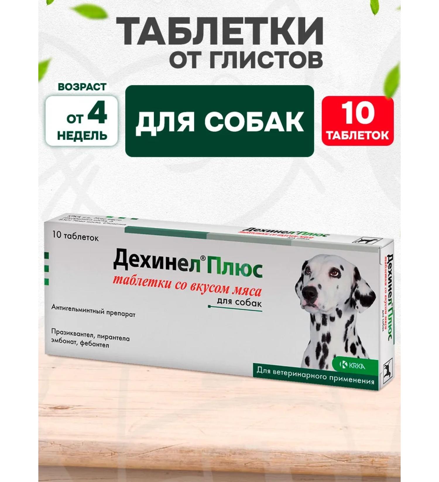 KRKA Dechinel plus tablets from worms for dogs Taste of meat 10 tab - Buy Online on GoSupps.com