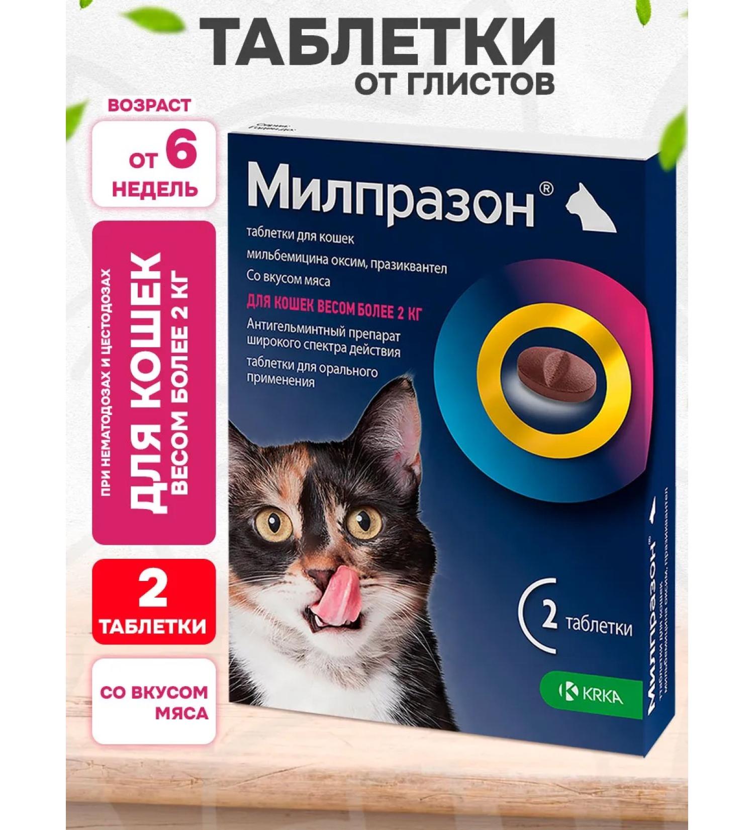 KRKA Milprazon tablets from worms for cats weighing 2 kg 2 table - Buy Online on GoSupps.com