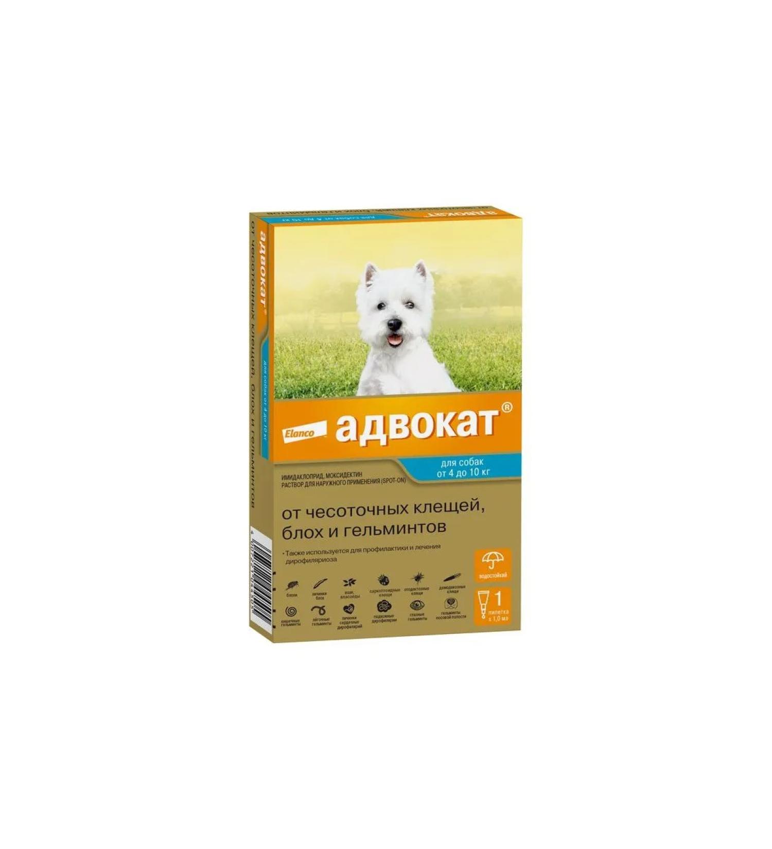 Lawyer Drops for dogs 4 -10 kg 1 pipette