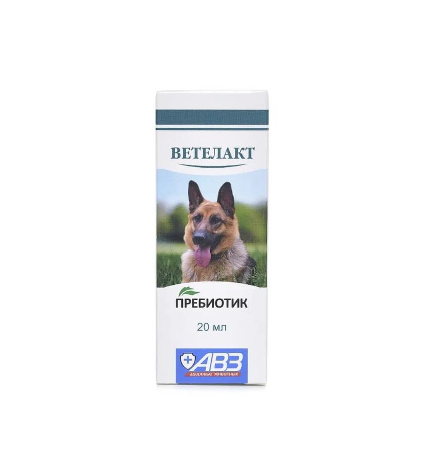 AVZ Vetlak a prebiotic for cats and dogs 20 ml - Buy Online on GoSupps.com