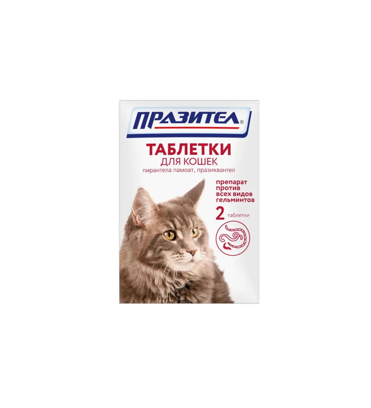 Anthelmintic for cats 2Tab - Buy Online on GoSupps.com