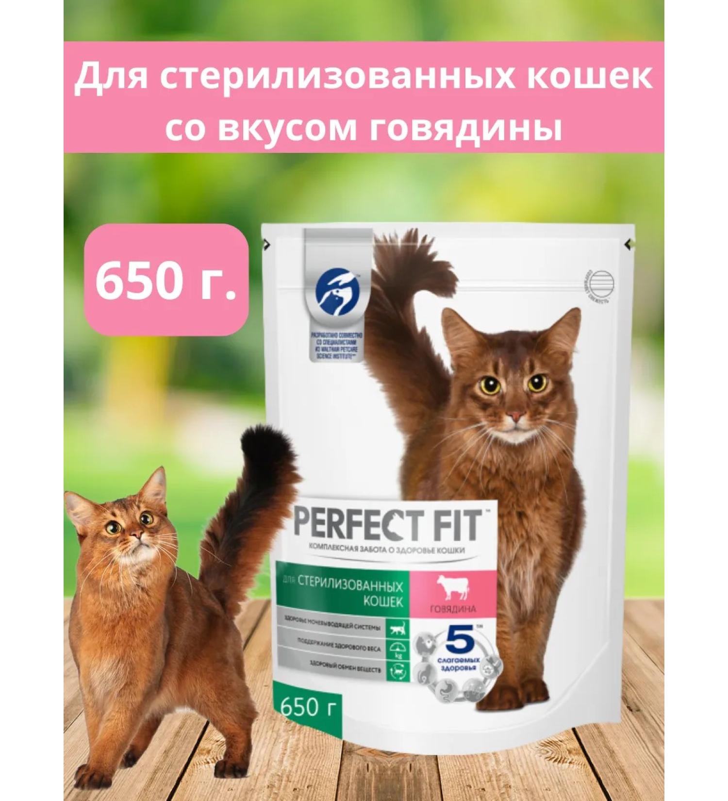 PERFECT FIT Dry food for sterilized cats 650 g - Buy Online on GoSupps.com