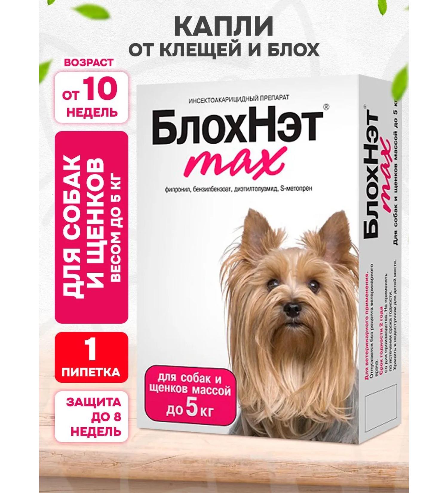 ASTRAPHARM BlochNet Max Drops from Blox ticks for dogs of puppies  - Buy Online on GoSupps.com