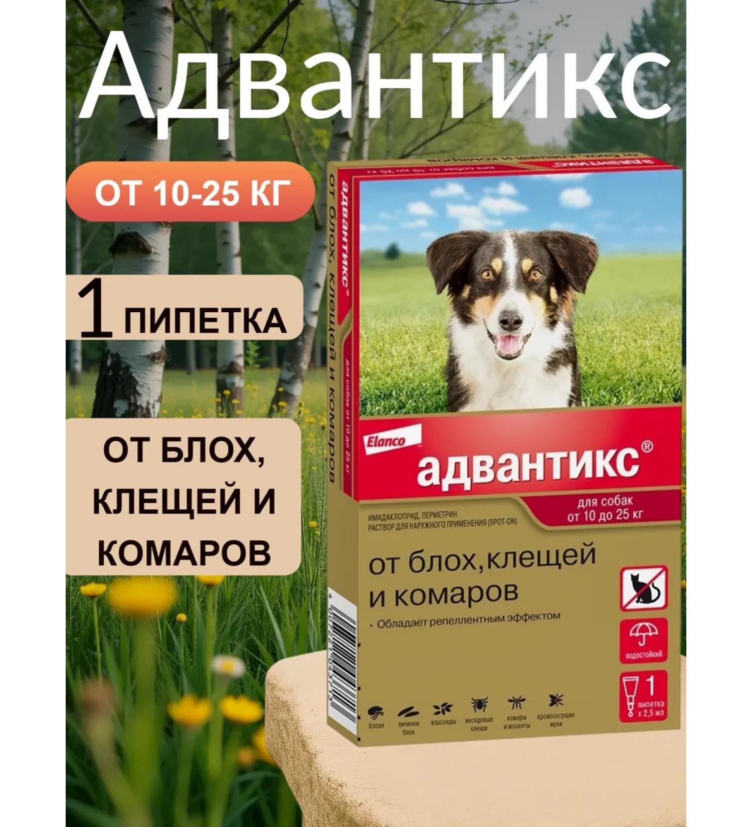 Elanco Advantiks for dogs weighing 10 to 25 kg packaging 1 pipette - Buy Online on GoSupps.com