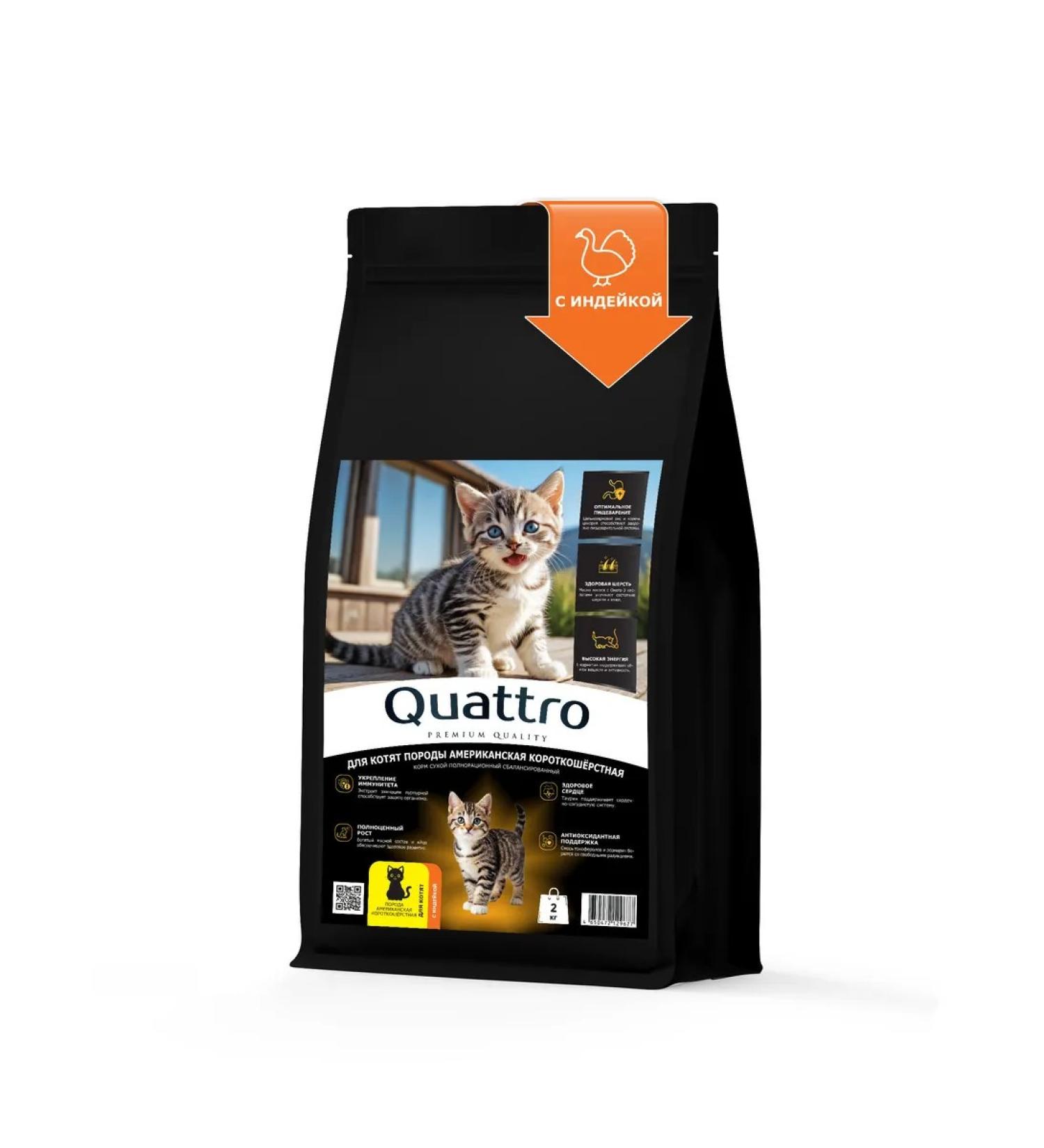 QUATTRO Feed kittens American short -haired turkey 2kg - Buy Online on GoSupps.com