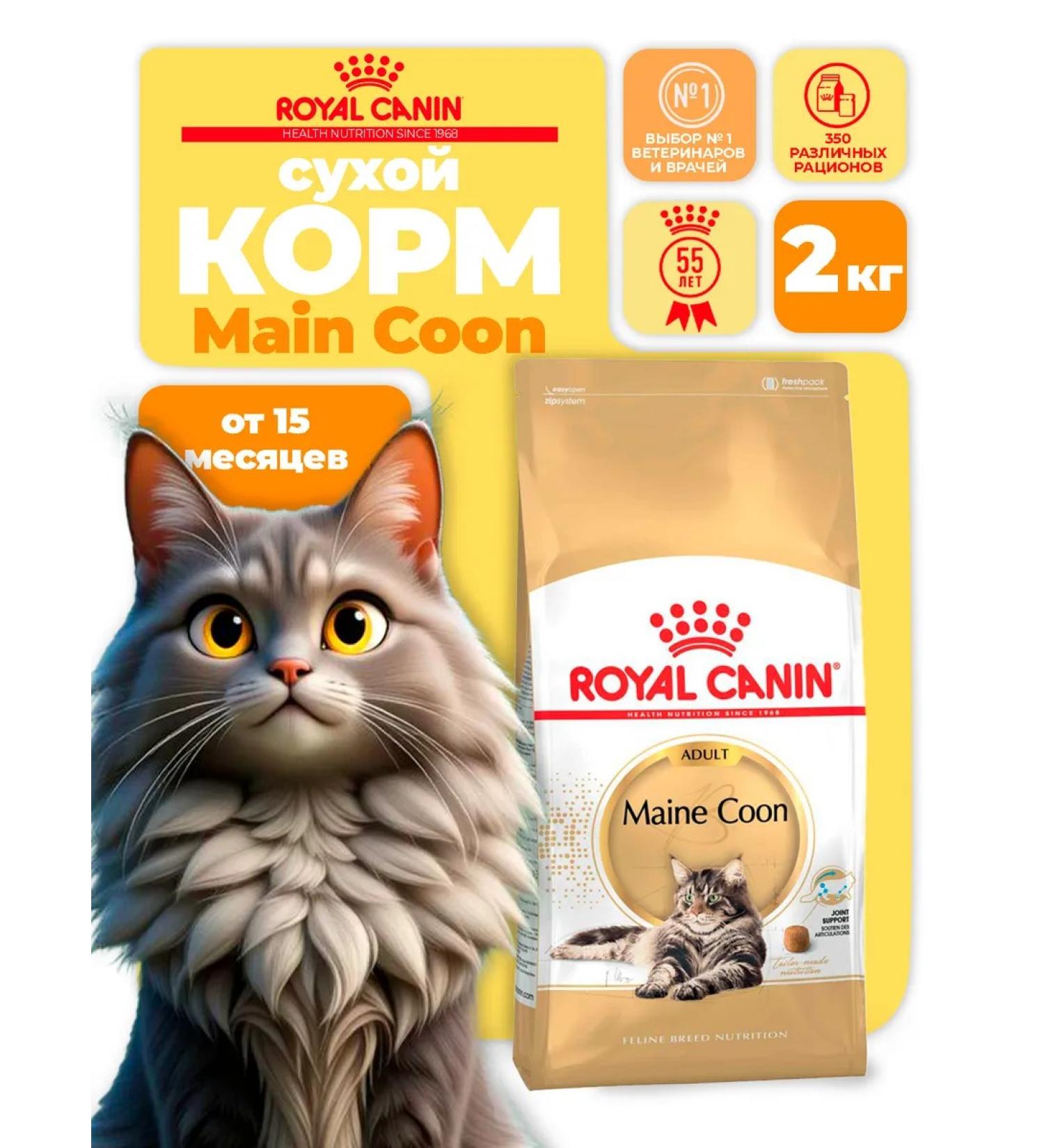 ROYAL CANIN Dry food for the breed Maine Coon (Main Kun) 2 kg - Buy Online on GoSupps.com