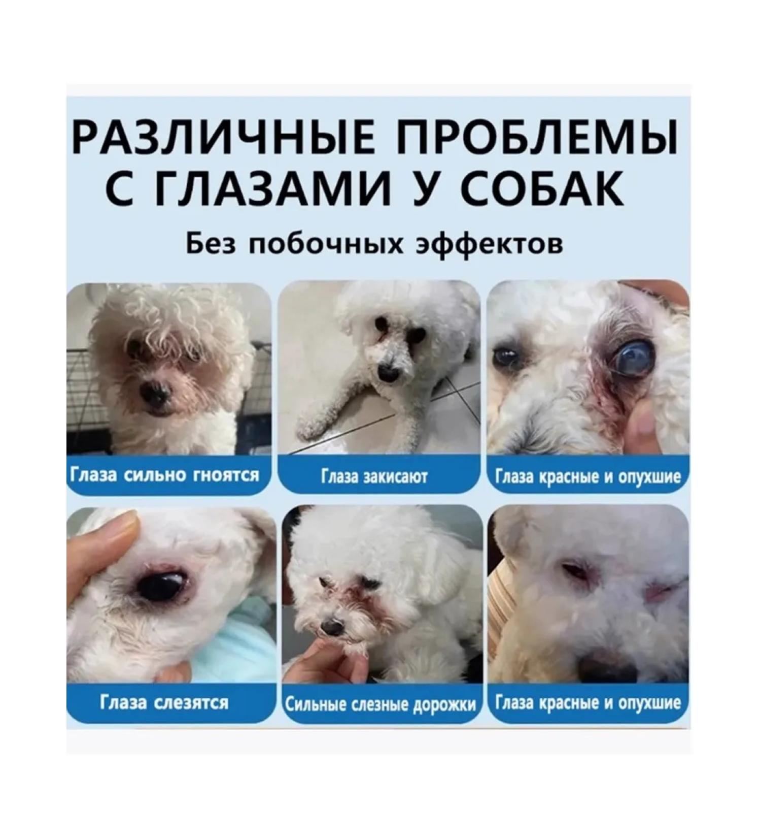 Eye drops for cats and dogs with conjunctivitis 8 ml - Buy Online on GoSupps.com