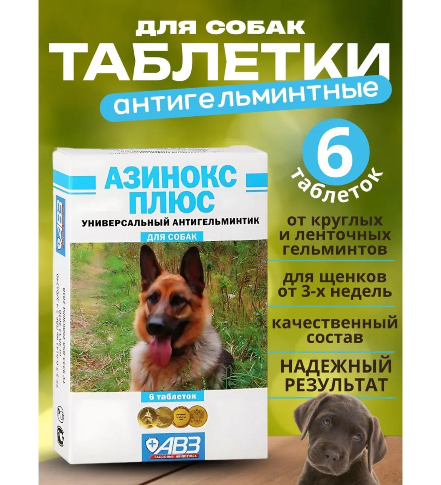 Azins plus tablets from worms for dogs 6 pcs - Buy Online on GoSupps.com