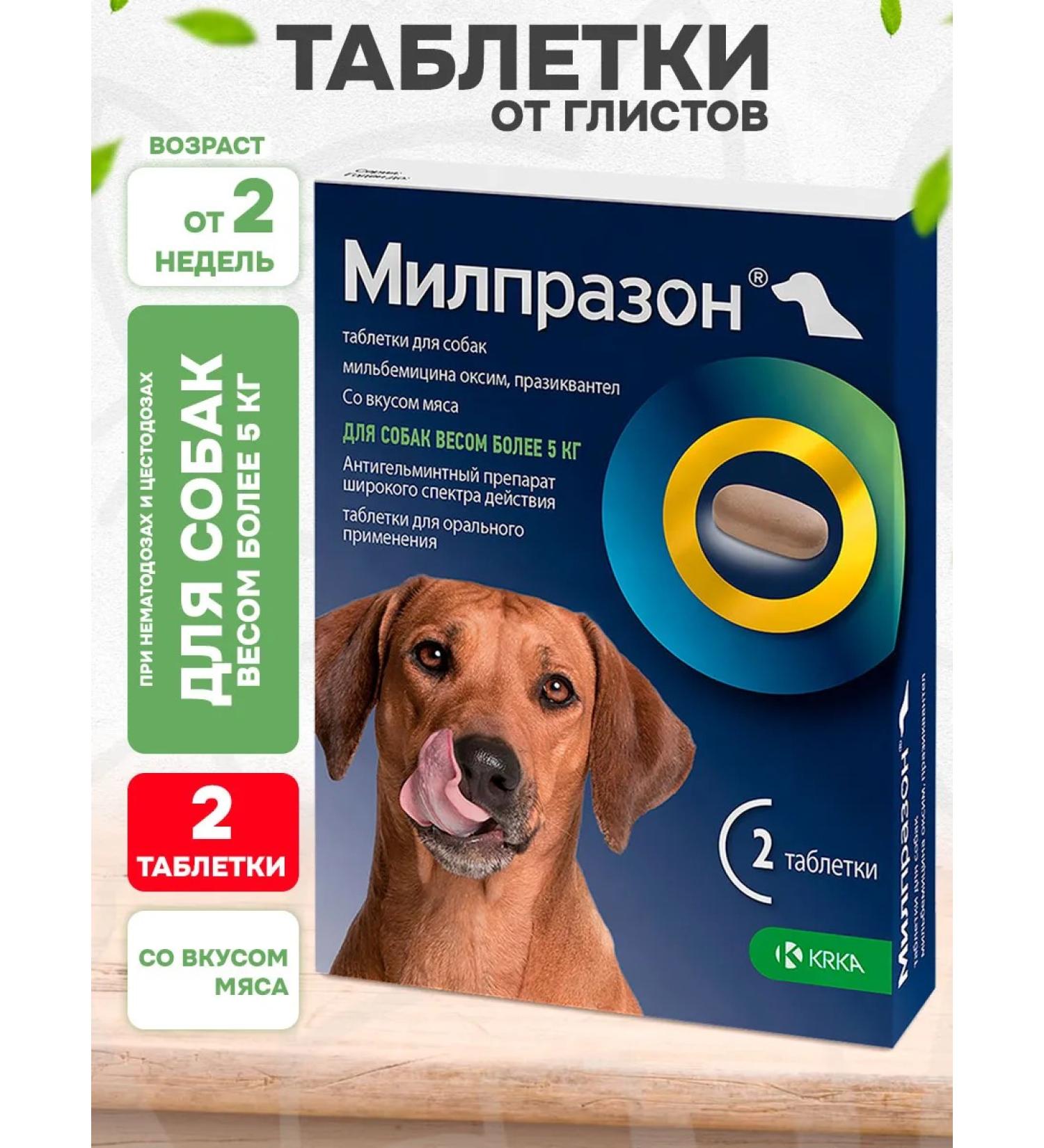 KRKA Milprazone tablets from worms for dogs weighing 5 kg 2 table - Buy Online on GoSupps.com