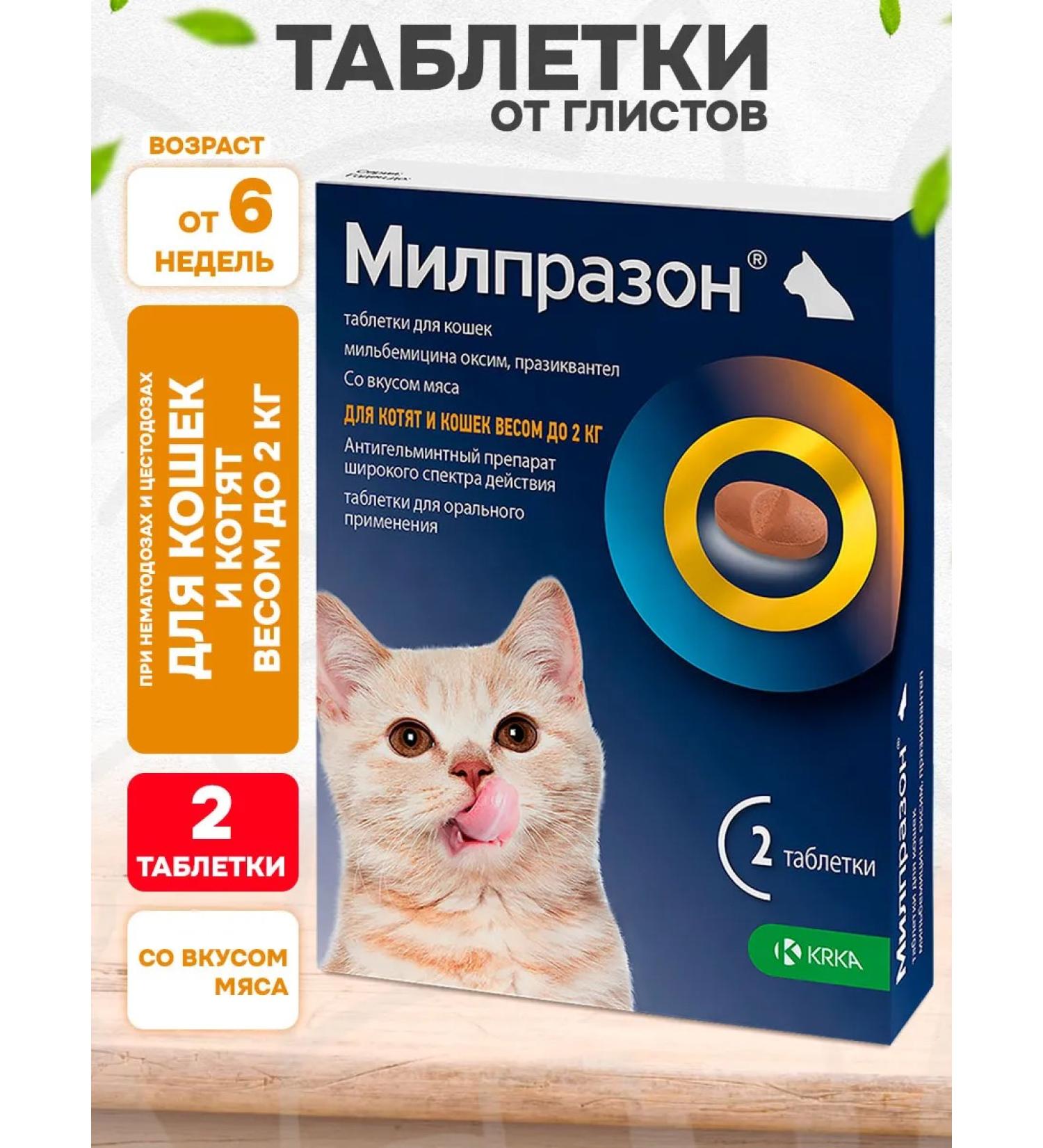 KRKA Milprazon tablets from worms for kittens and cats  - Buy Online on GoSupps.com