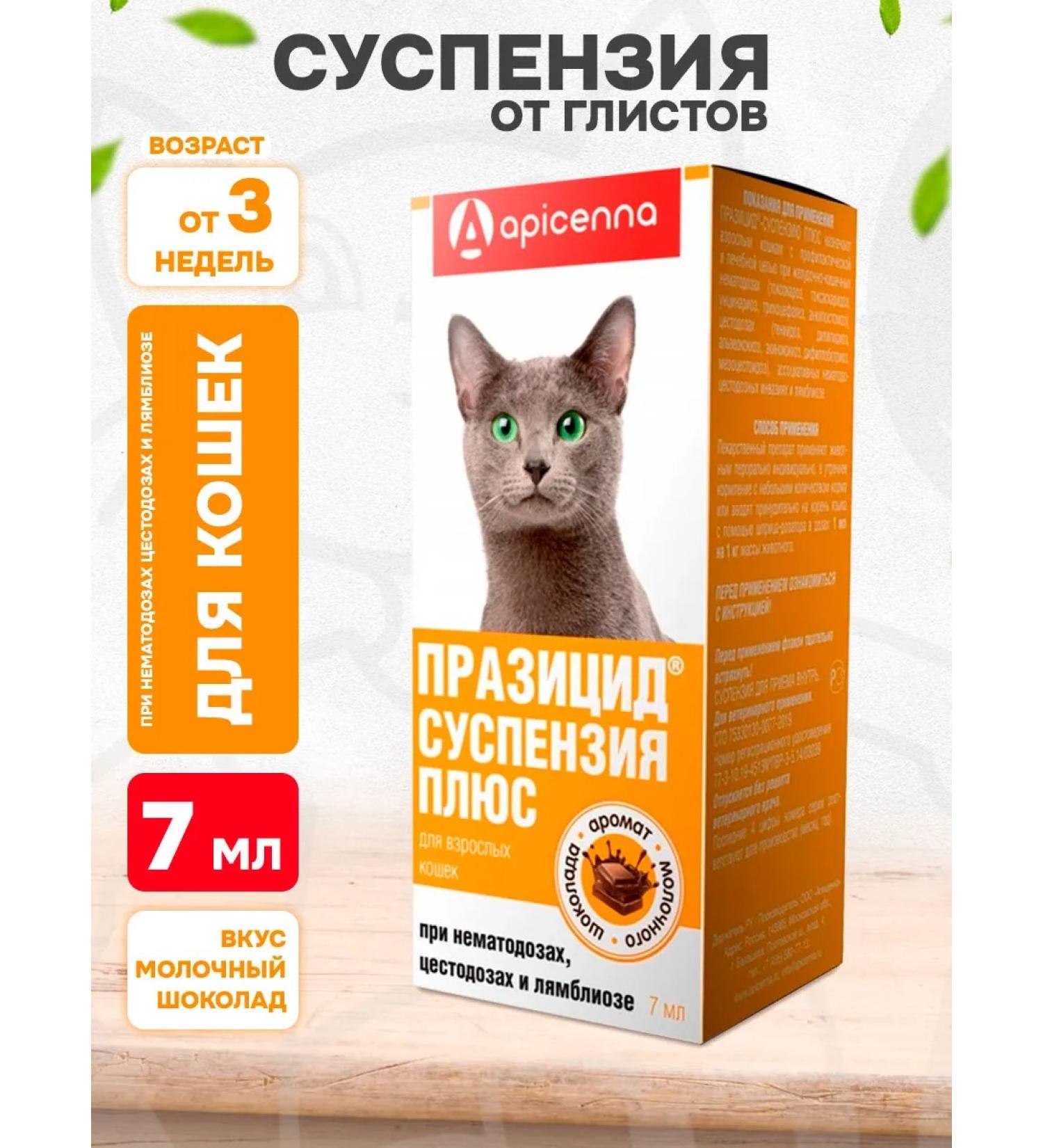 Apicenna Prasicide plus suspension from worms for cats 7 ml - Buy Online on GoSupps.com
