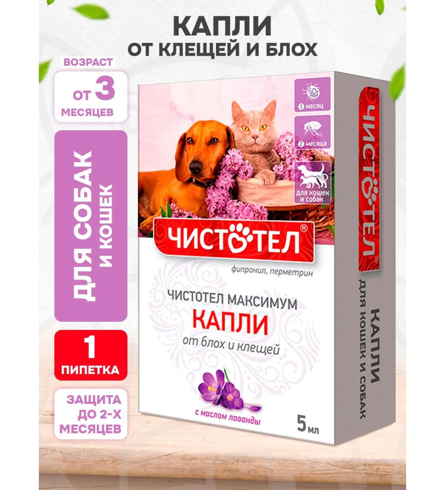 Celandine Maximum drops from fleas and ticks for dogs and cats 1 pipette - Buy Online on GoSupps.com