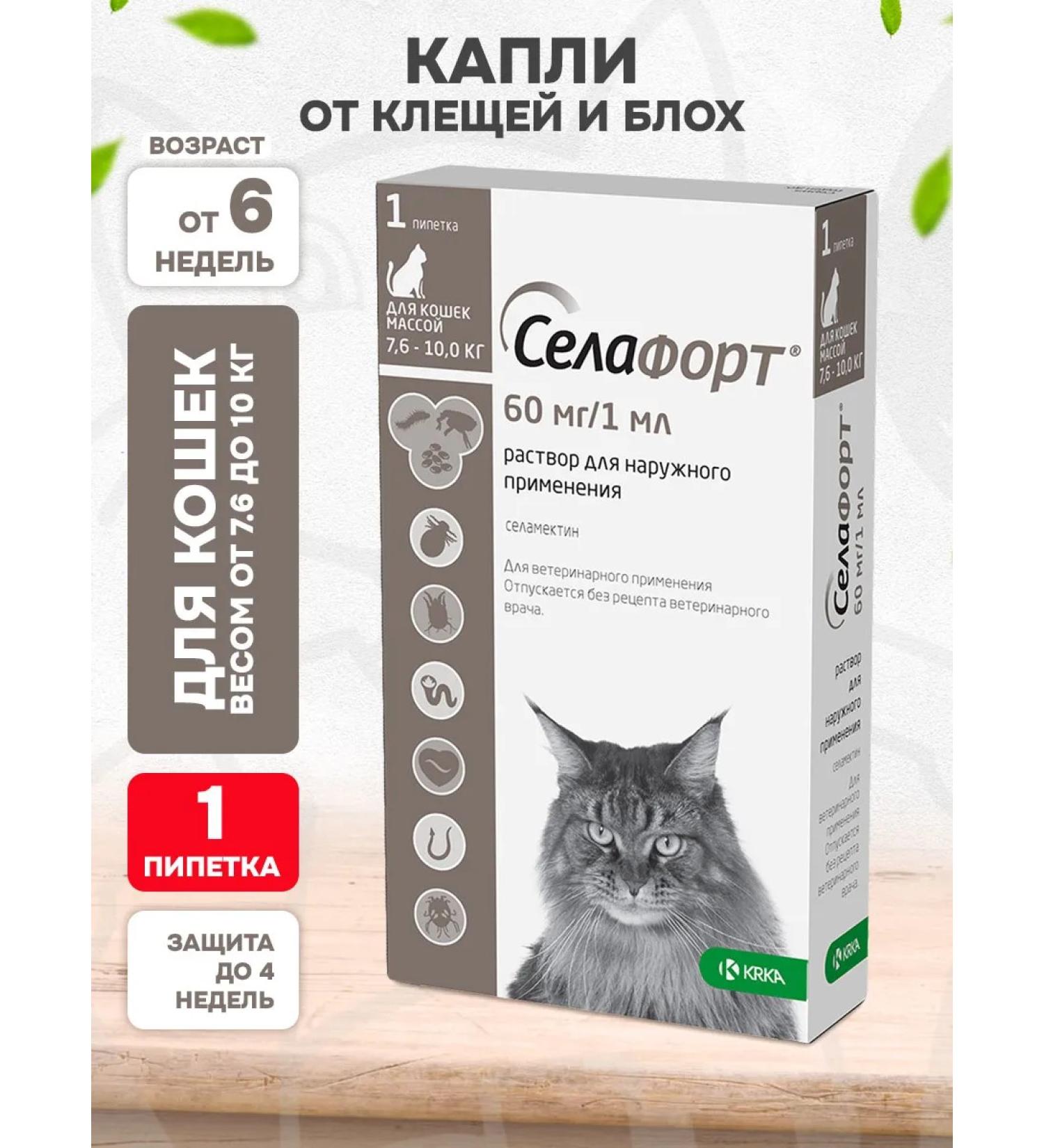 KRKA Sealess Dreams from Blox of Bloches for Cats 7.6 - 10 kg - Buy Online on GoSupps.com