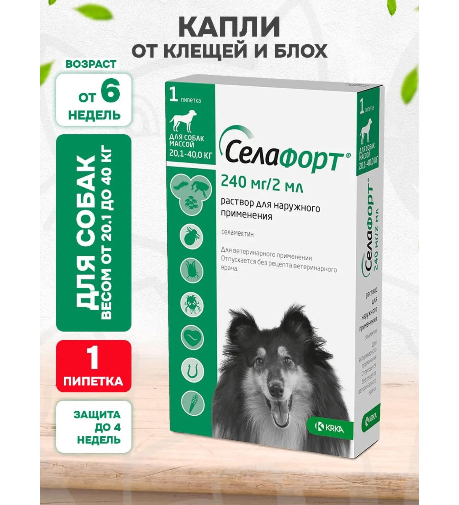 KRKA Sealess Dreams from Blox of Worms for Dogs 20.1-40 kg - Buy Online on GoSupps.com