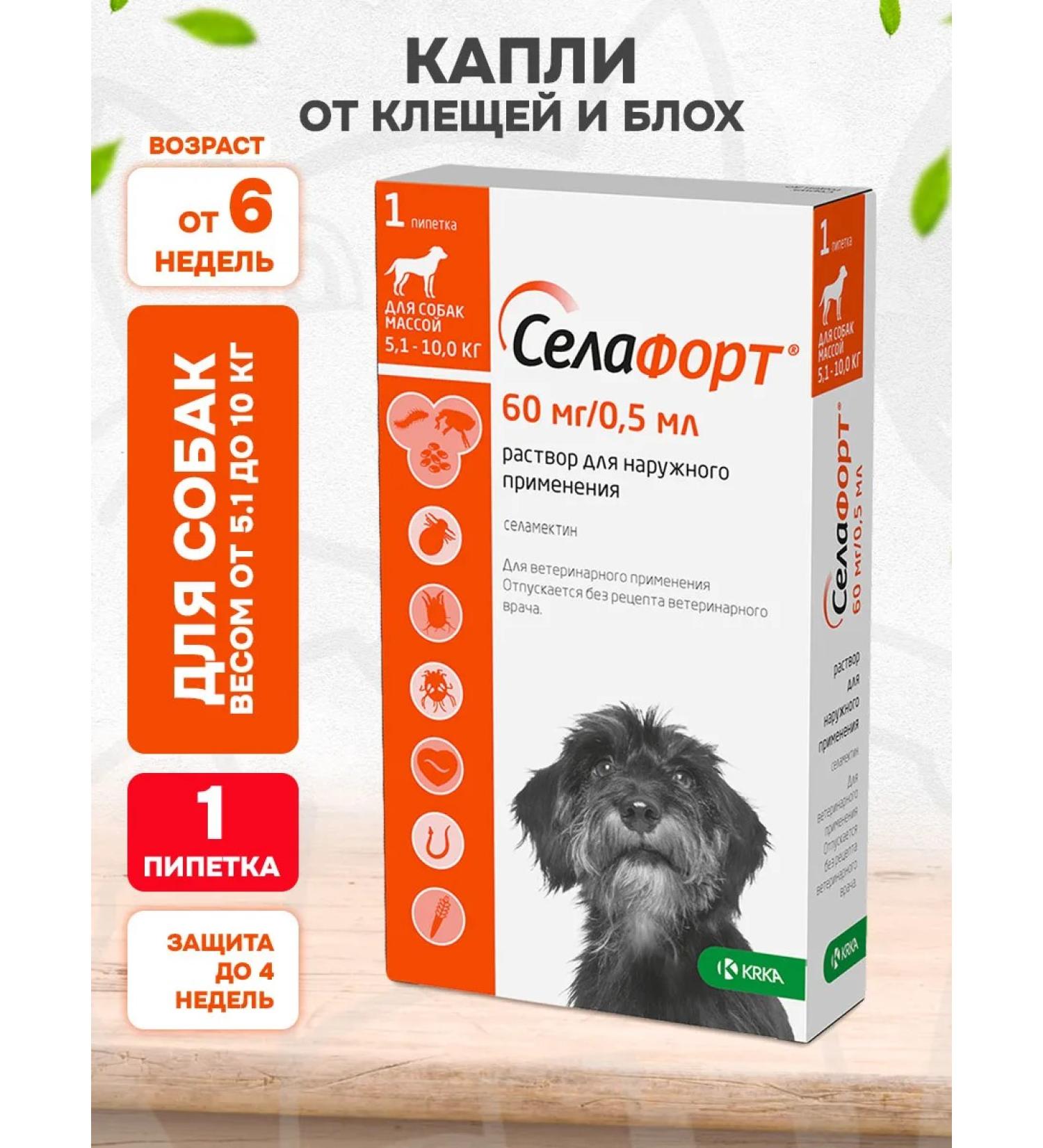 KRKA Sealess Drops from Blox of Bloch of Worms for Dogs 5.1 - 10 kg - Buy Online on GoSupps.com