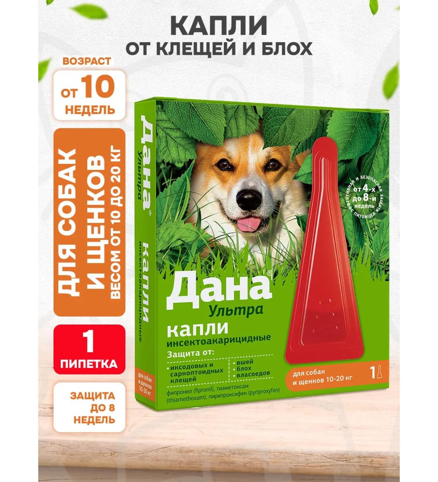 Apicenna Dropa drops from ticks fleas for dogs 10-20 kg 1 pipette - Buy Online on GoSupps.com