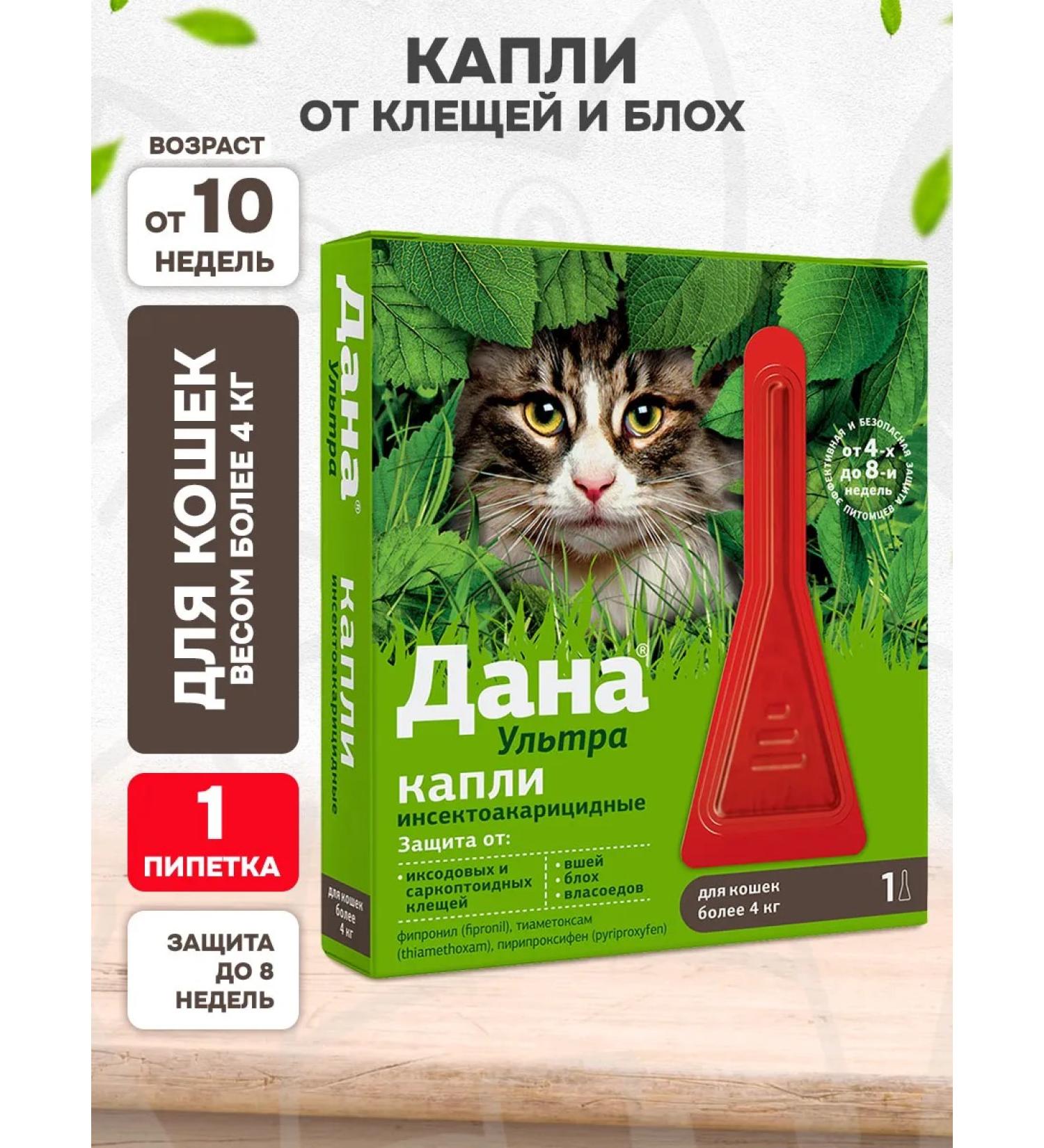 Apicenna Dropa drops from ticks fleas for cats from 4 kg 1 pipette - Buy Online on GoSupps.com