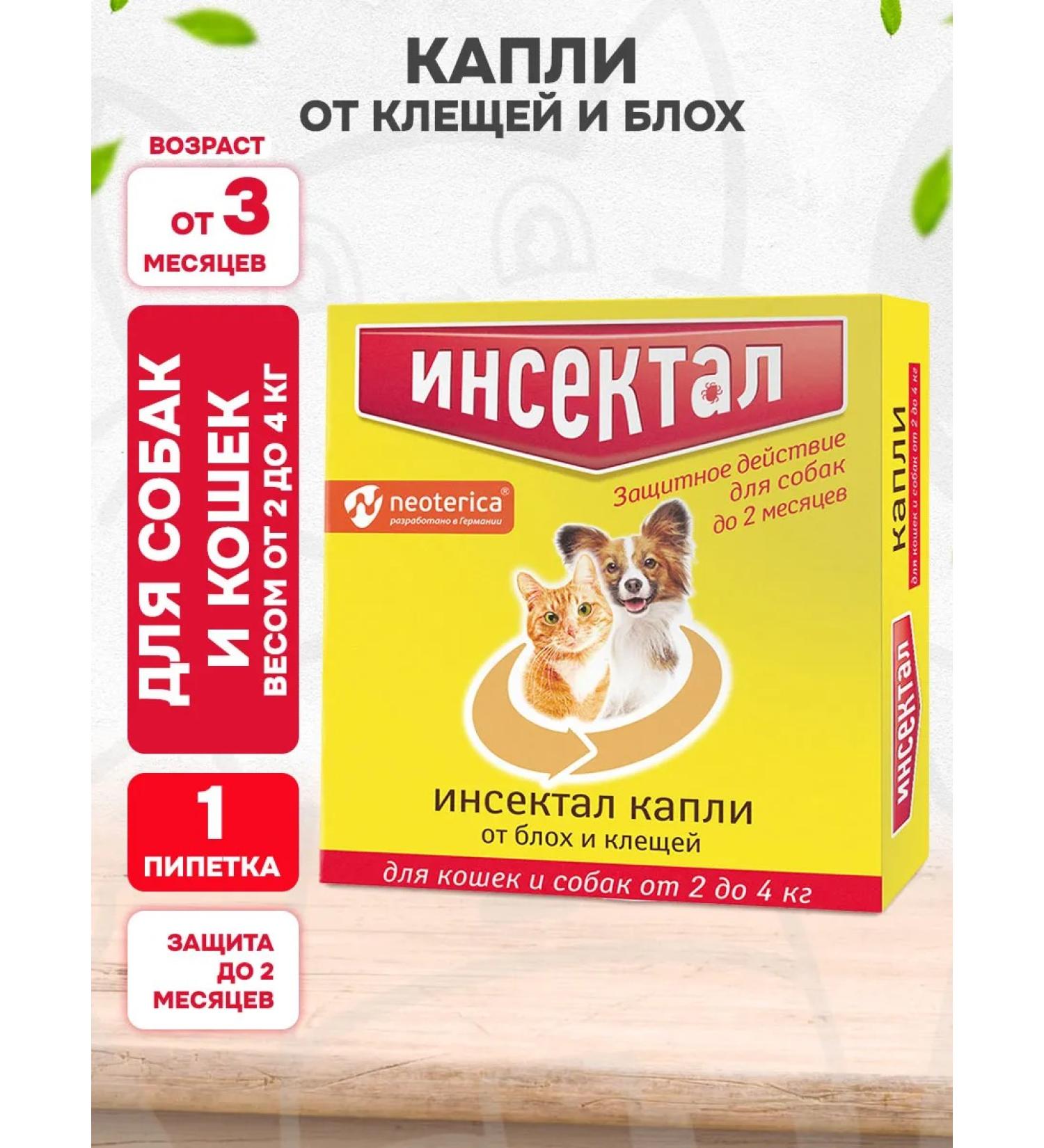Neoterica Insectal drops from ticks and fleas of dogs of cats 2-4 kg 1 pipette - Buy Online on GoSupps.com