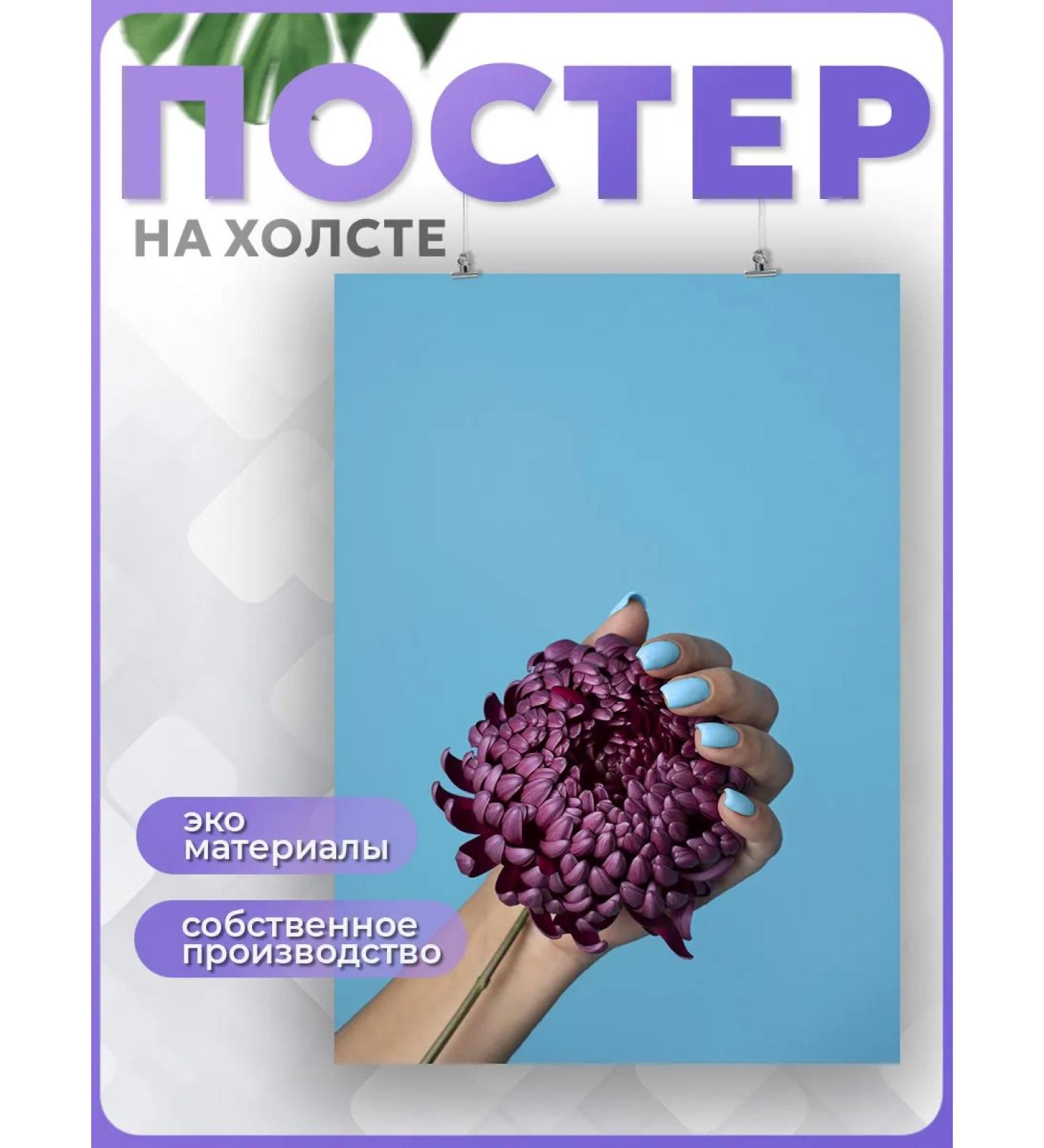 PosterNak Poster manicure nail care for a beauty salon (4) 60x80 - Buy Online on GoSupps.com