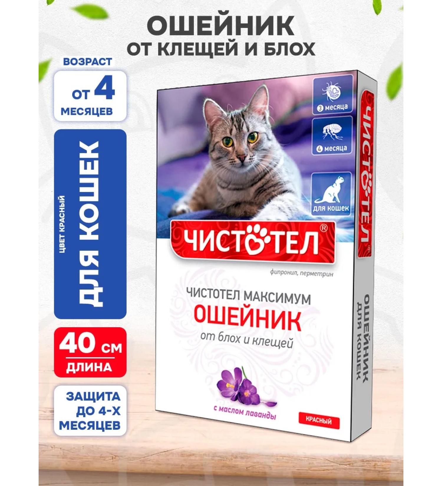 Celandine Maximum collar from ticks and fleas for cats red 40 cm - Buy Online on GoSupps.com