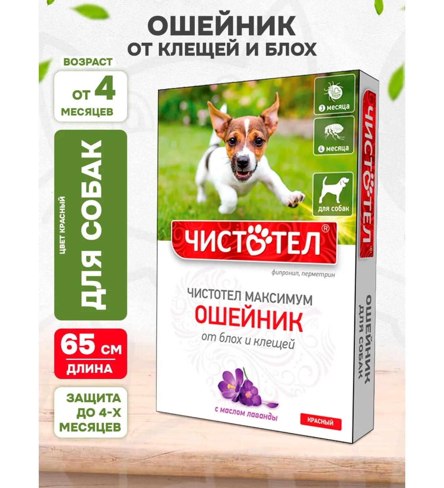 Celandine Maximum collar from ticks and fleas for dogs red 65 cm - Buy Online on GoSupps.com