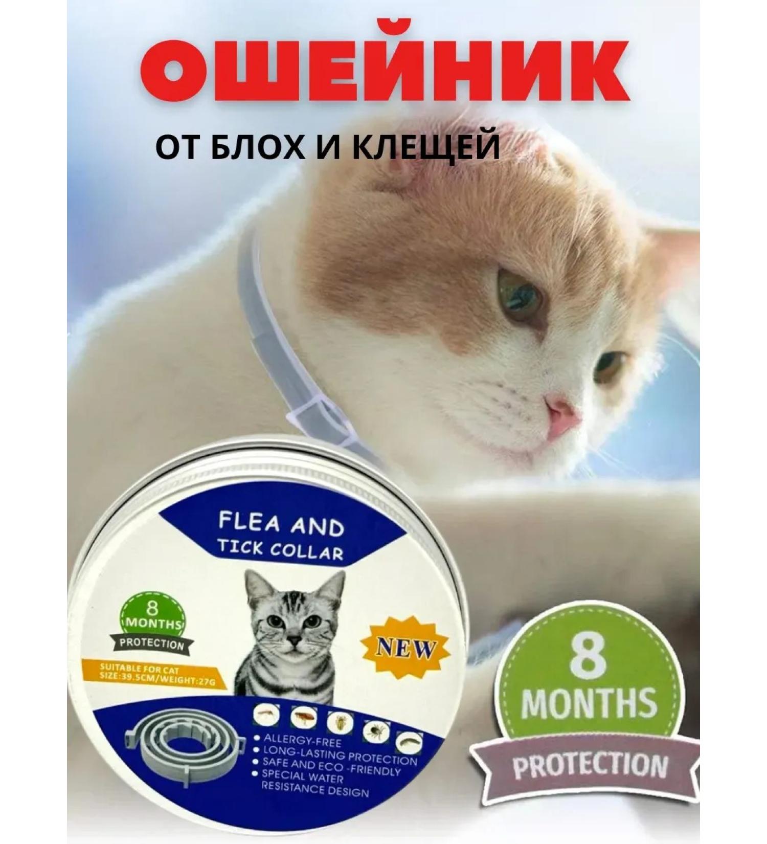 Ellanur Flea and ticks collar for a cat - Buy Online on GoSupps.com