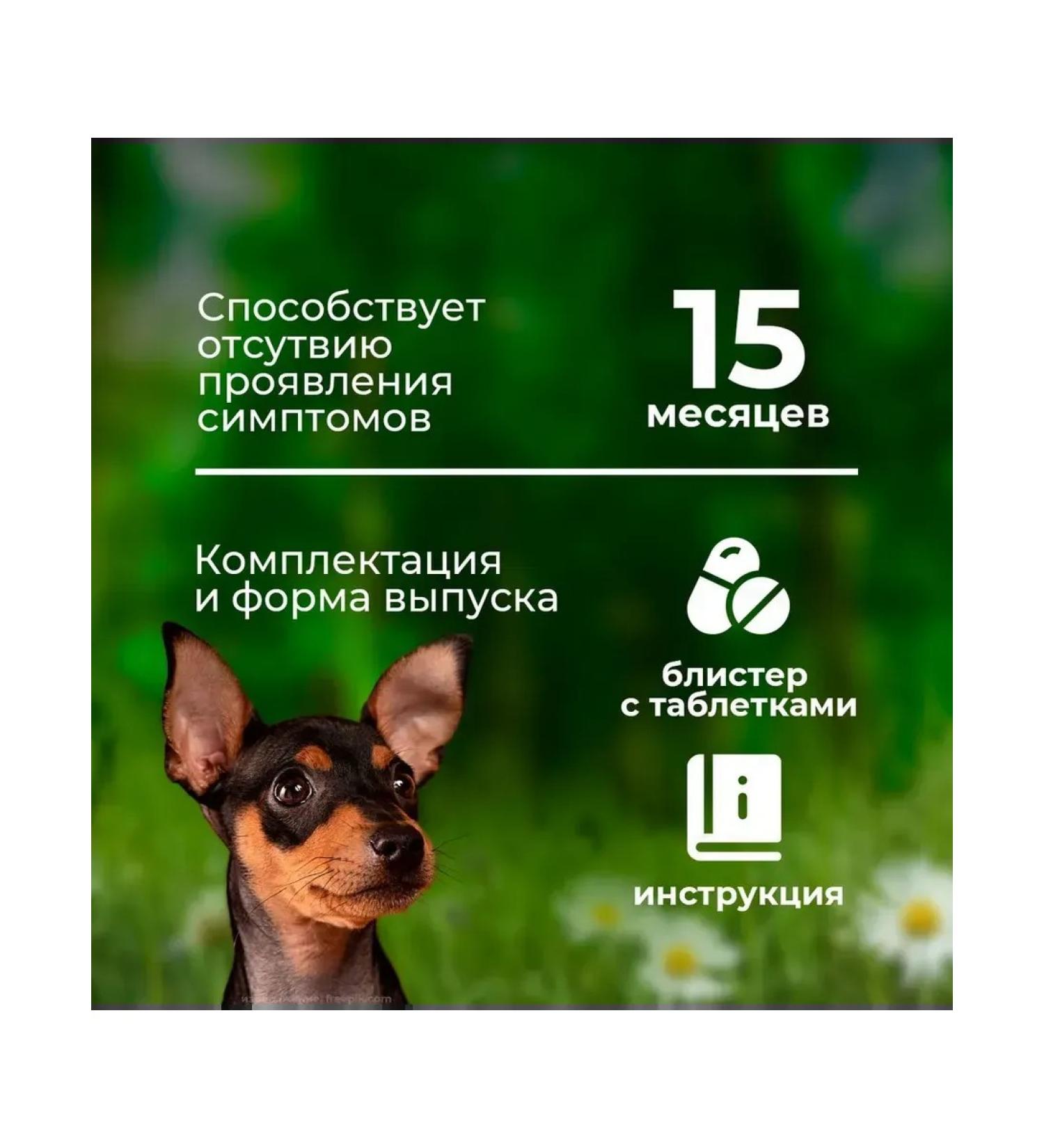 Boehringer Ingelheim Detmyedine tablets S 1.25 mg 100Tab - Buy Online on GoSupps.com