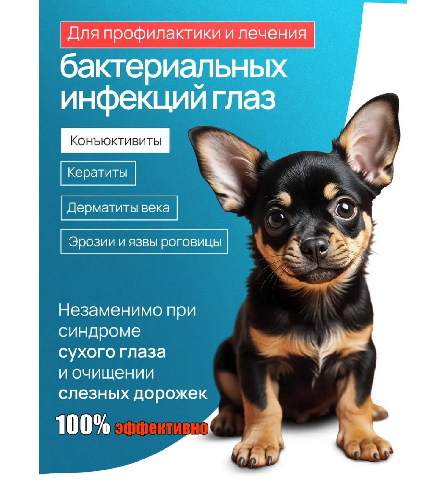 Drops for eyes for dogs with a soft formula (60 ml) - Buy Online on GoSupps.com