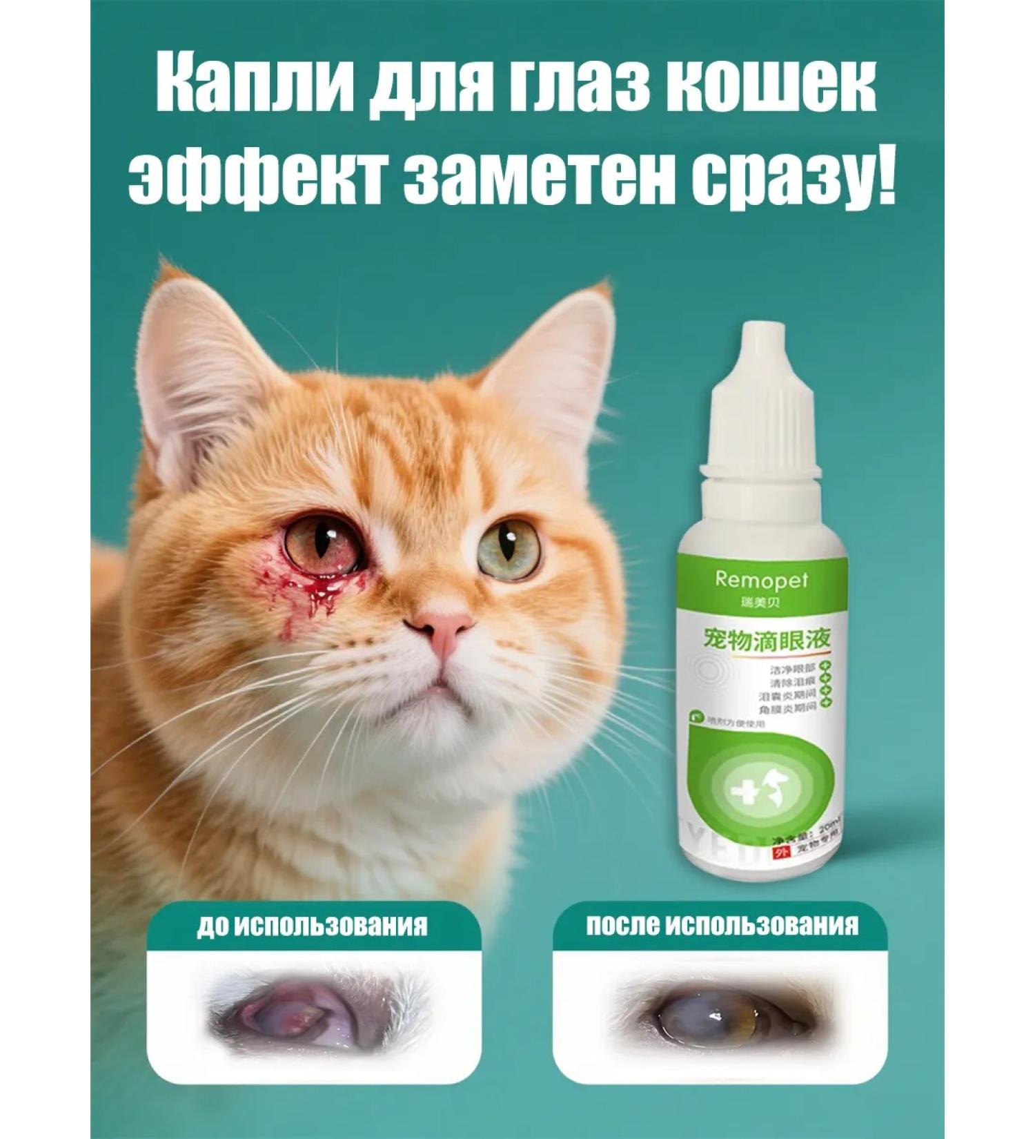 Anti -inflammatory eye drops for cats 60ml - Buy Online on GoSupps.com