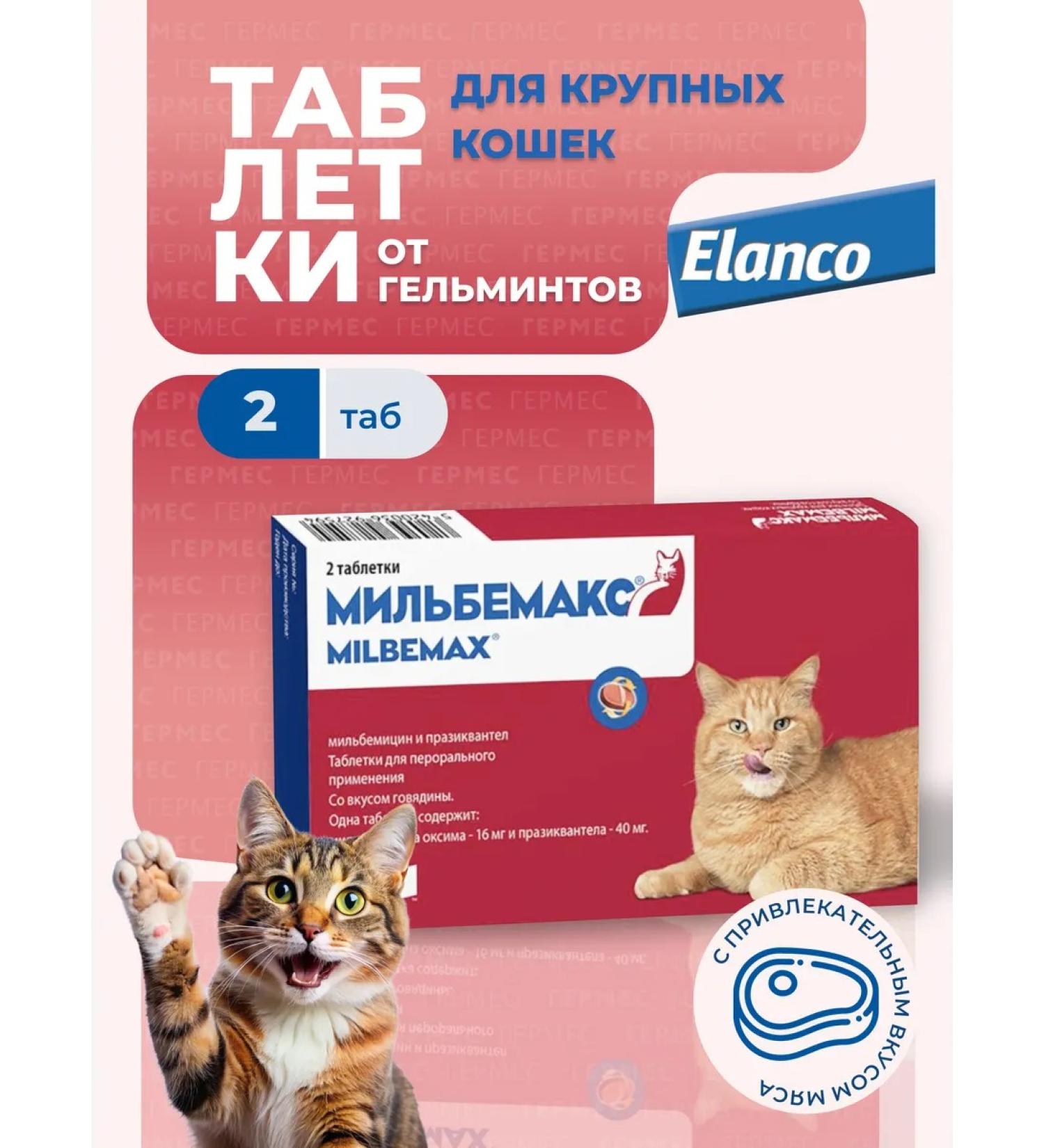Elanco Milbemax tablets from worms for large cats 2 tab - Buy Online on GoSupps.com