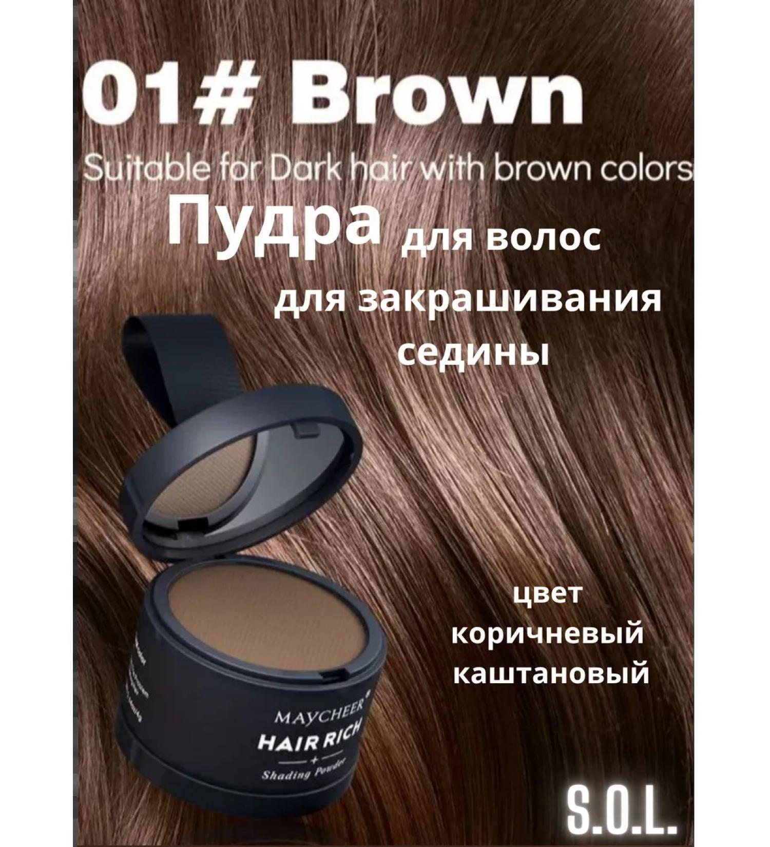 SOL Hair powder tinting masking for painting - Buy Online on GoSupps.com