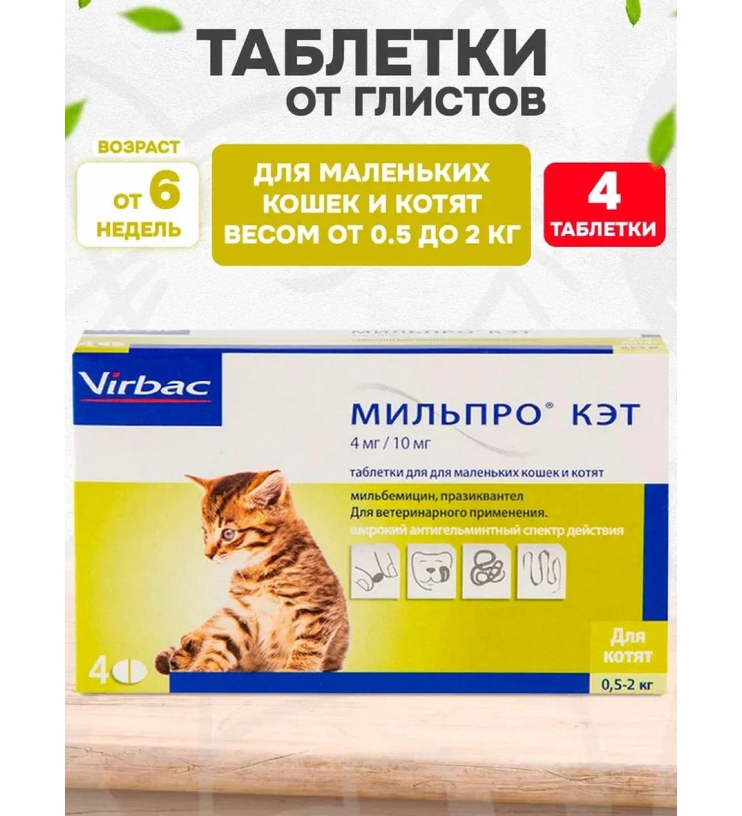 Virbac Milpro Kat tablets from worms for cats of kittens 0.5-2 kg 4 tons - Buy Online on GoSupps.com