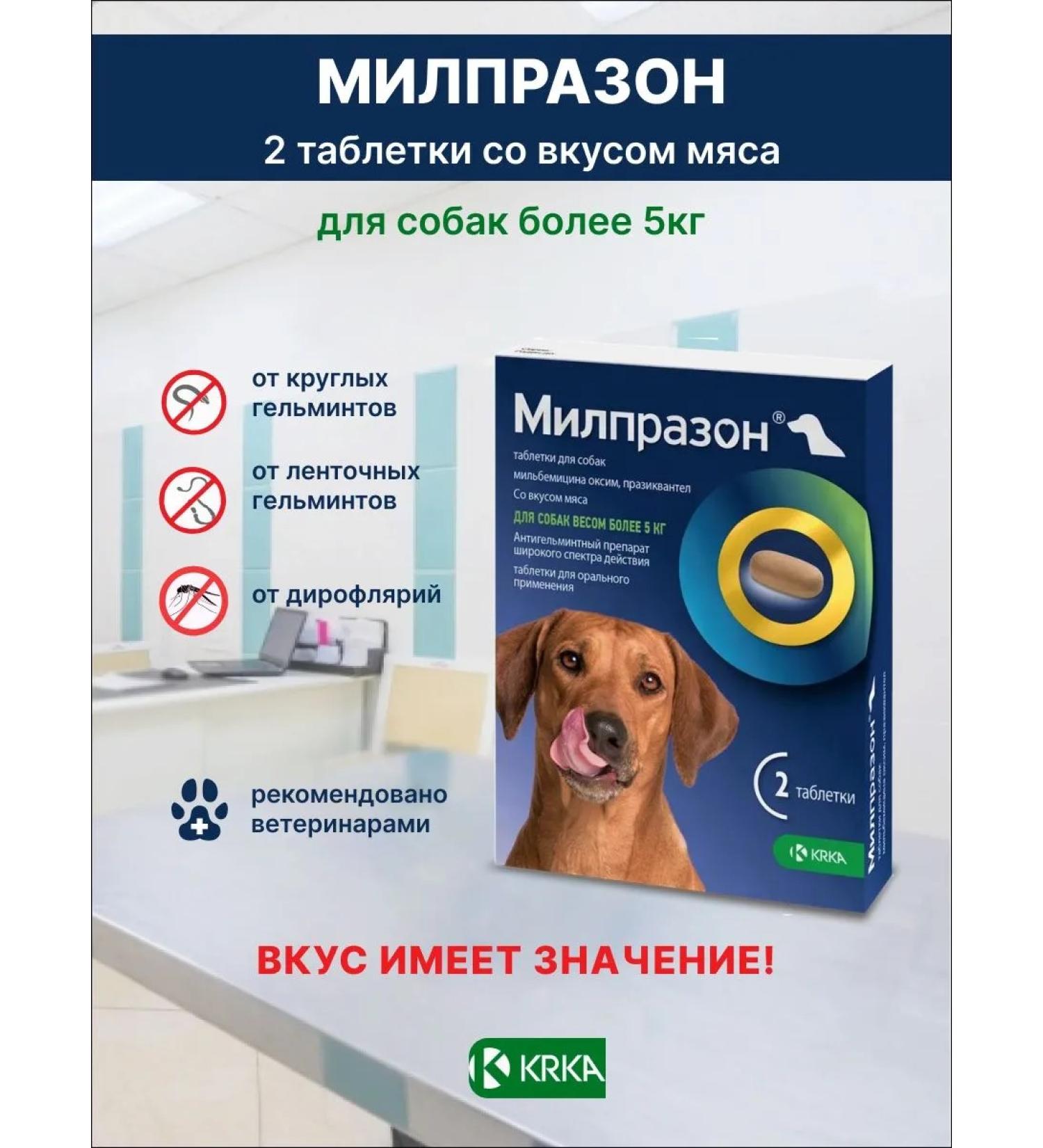 KRKA Milprazone 12.5 mg for dogs more than 5 kg tablets No. 2