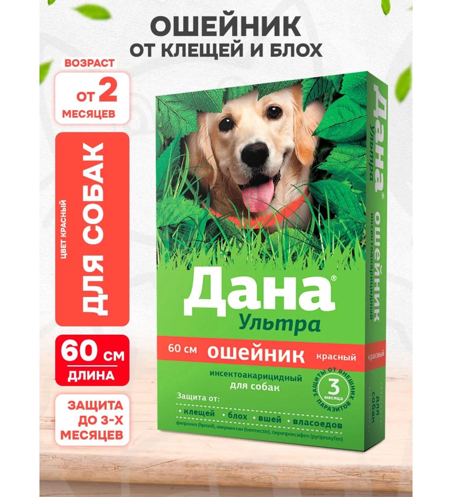 Apicenna Given ultra collar from ticks and fleas for dogs red 60 cm - Buy Online on GoSupps.com