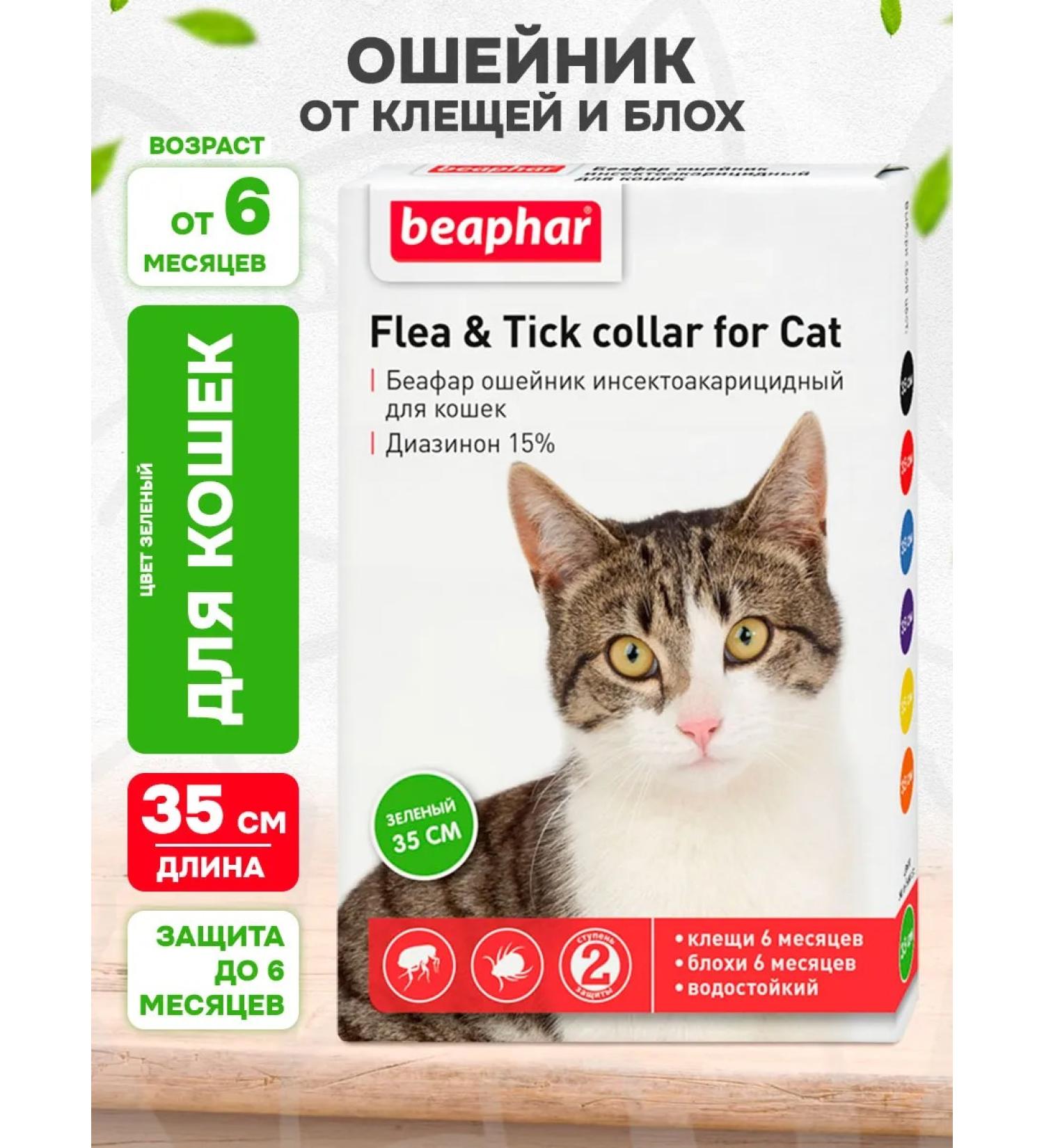 beaphar Collar from ticks and fleas for cats green 35 cm - Buy Online on GoSupps.com