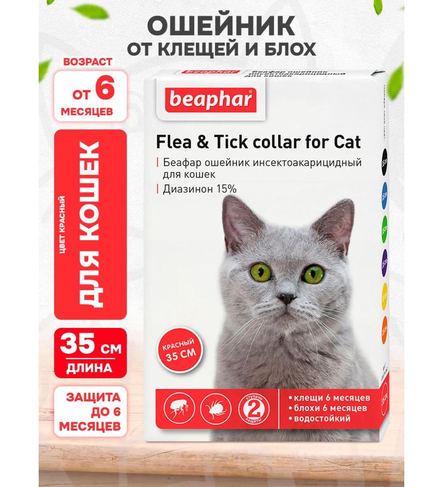 beaphar Collar from ticks and fleas for cats red 35 cm - Buy Online on GoSupps.com