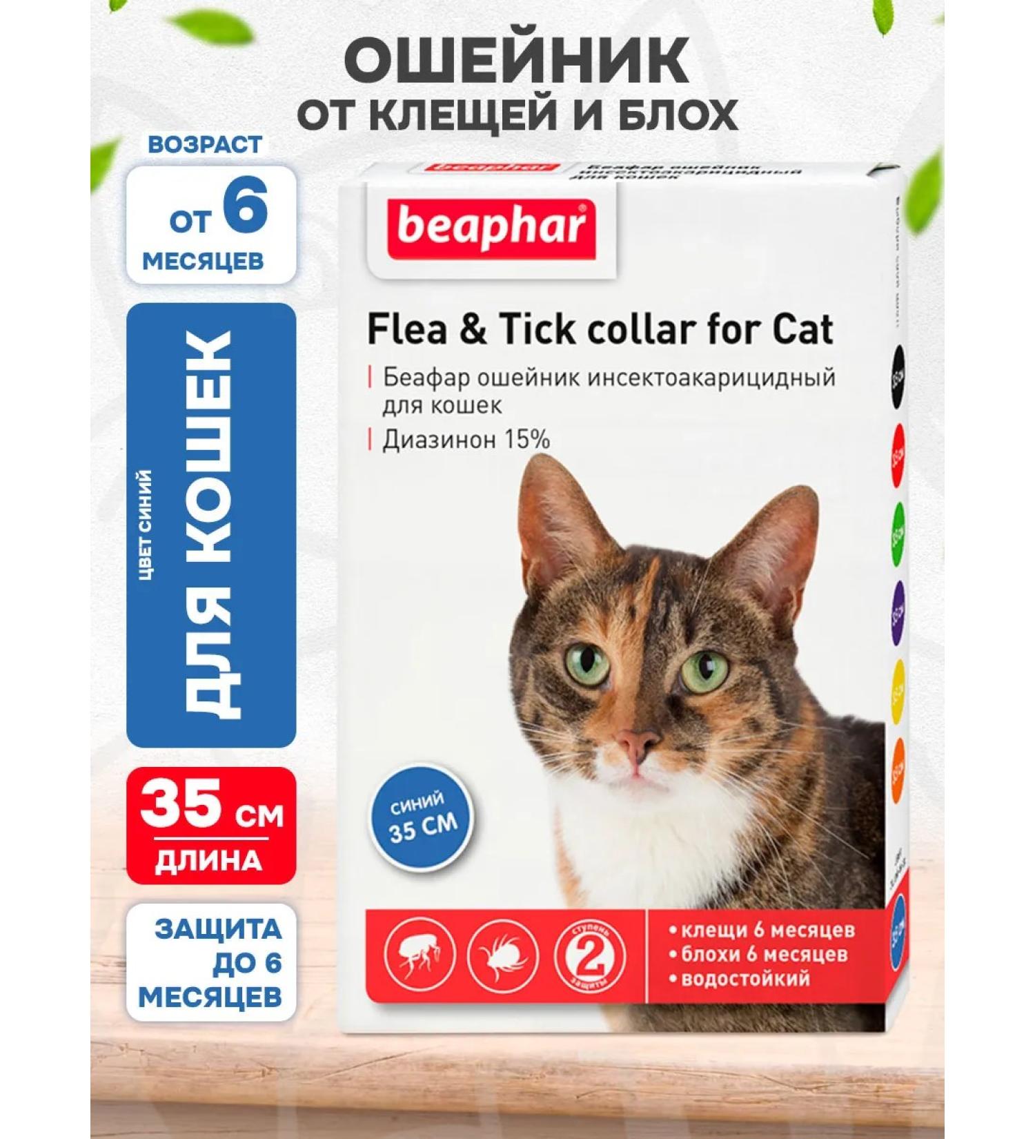 beaphar Collar from ticks and fleas for cats blue 35 cm - Buy Online on GoSupps.com