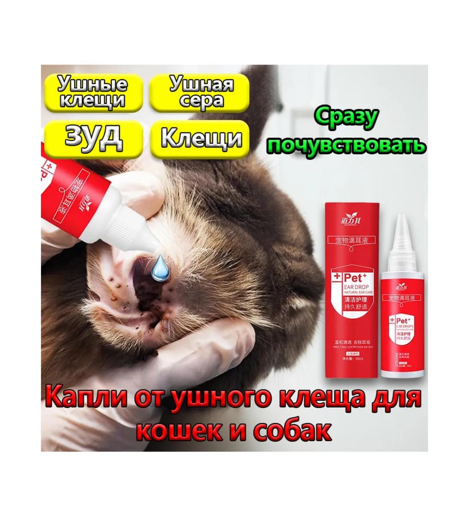 Ear drops from bacteria and parasites for dogs and cats - Buy Online on GoSupps.com