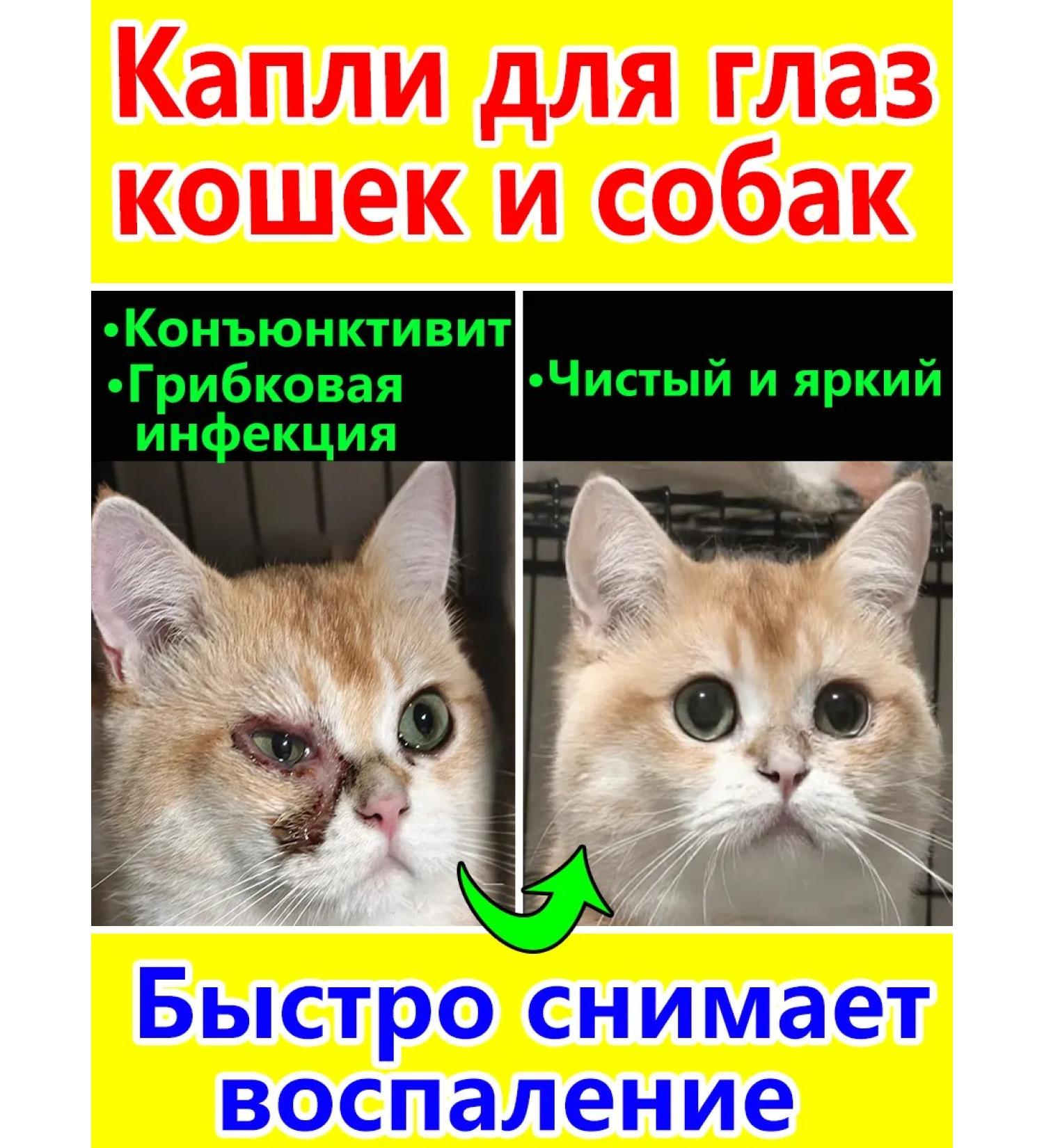 Drops for the eyes of cats and dogs 60ml - Buy Online on GoSupps.com