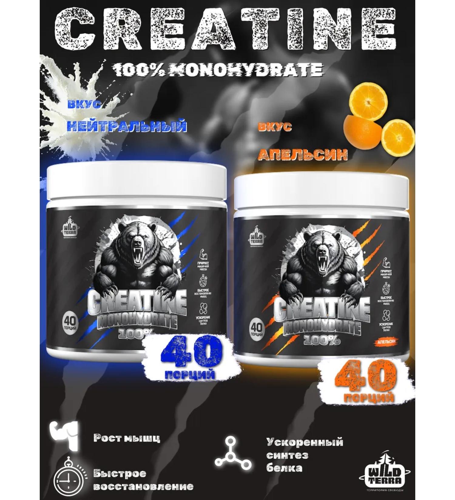 WILD TERRA Creatine monohydrate sports nutrition Creatine 400gr - Buy Online on GoSupps.com