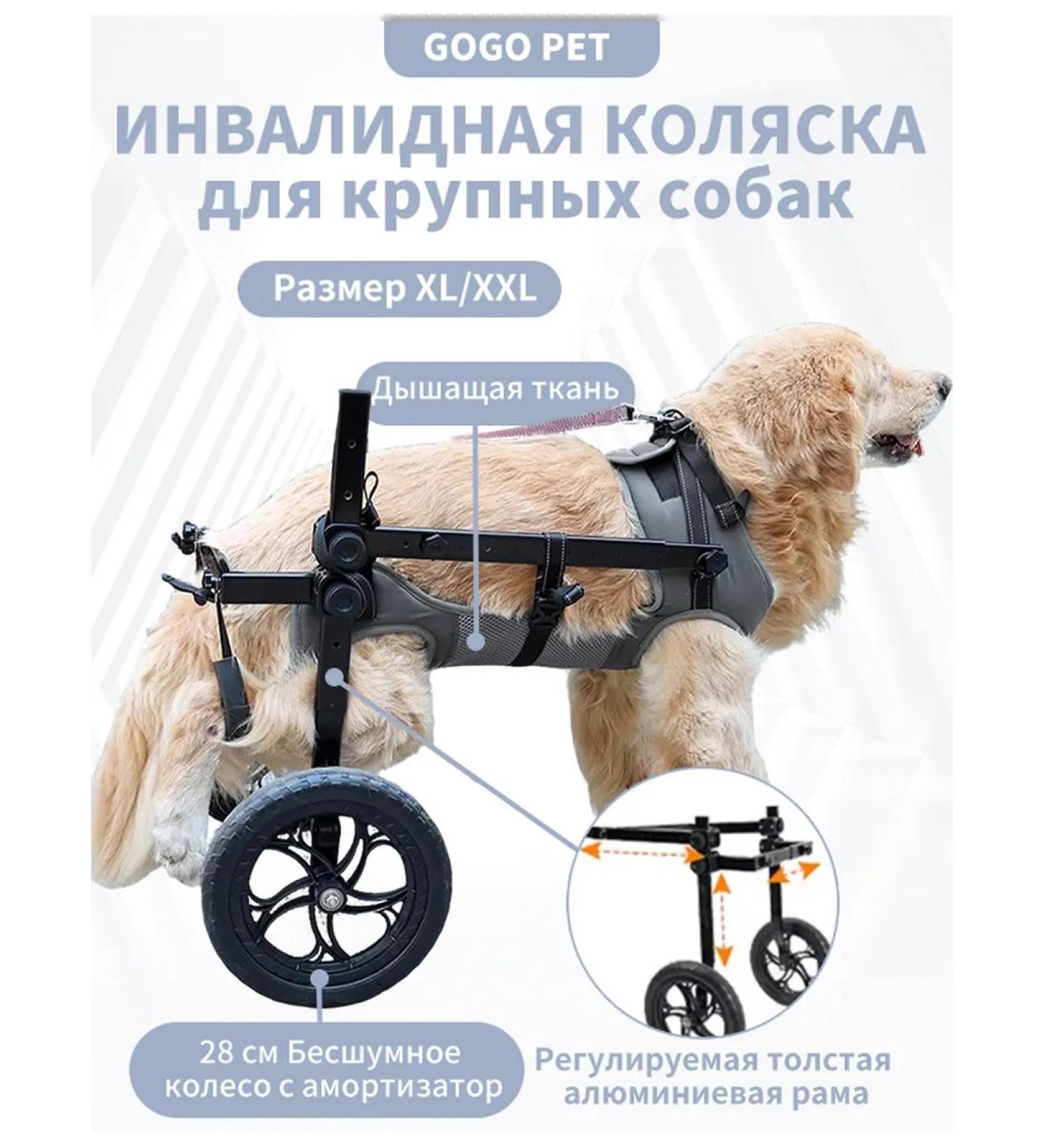 Wheelchair for dog paws - Buy Online on GoSupps.com