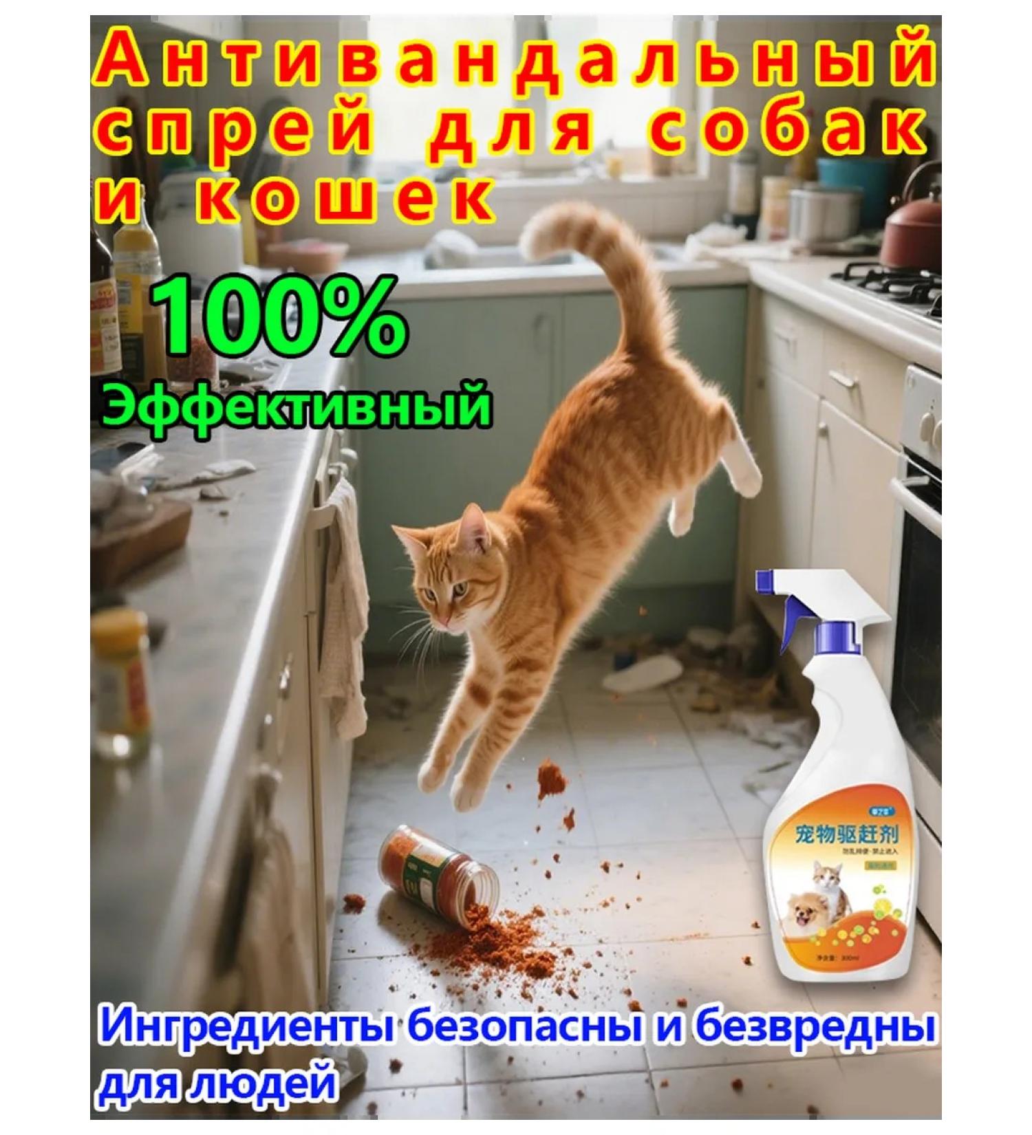 Miracle tool for scaring cats spray 300ml - Buy Online on GoSupps.com