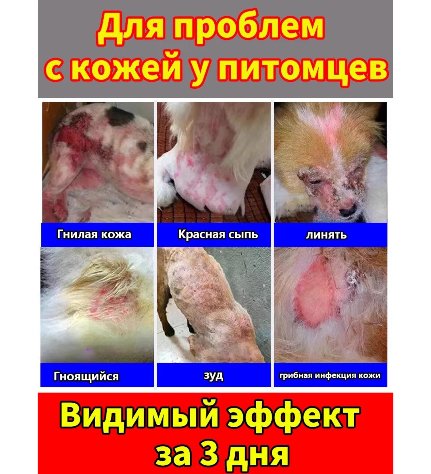 Spray for dogs and cats from itching and skin diseases 100ml - Buy Online on GoSupps.com