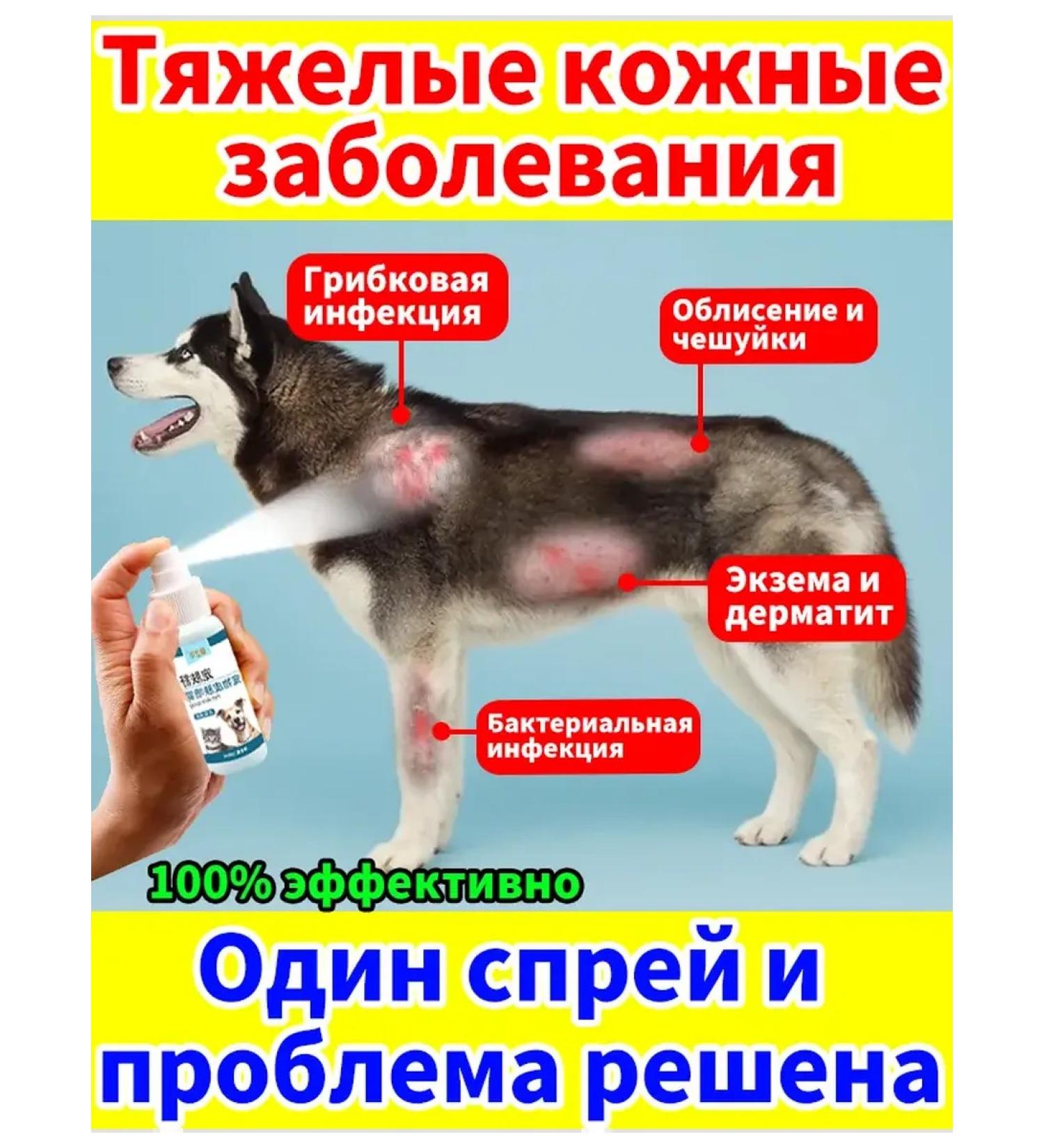 Spray from itching dogs and cats and peeling 3 -part - Buy Online on GoSupps.com